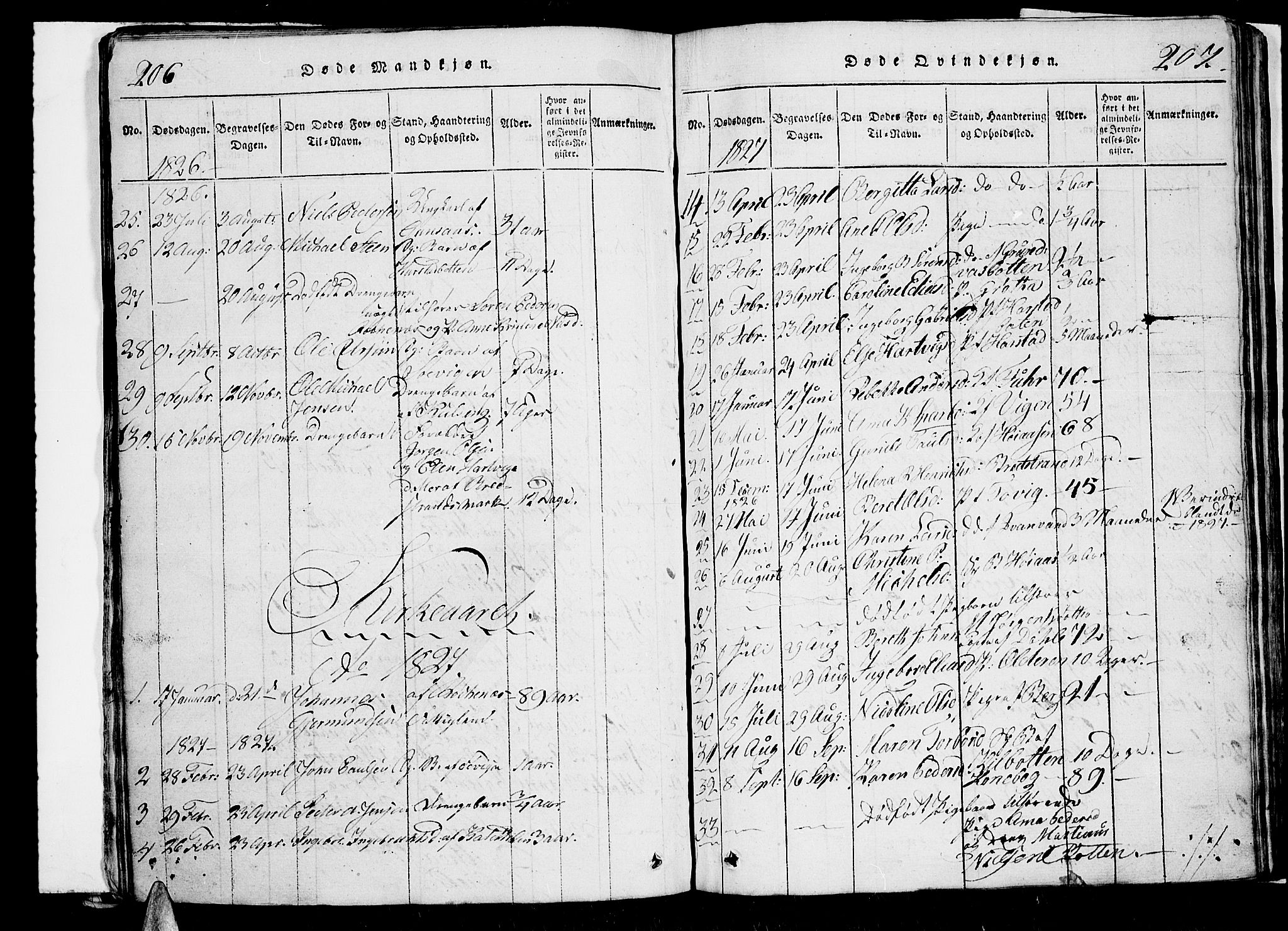 Trondenes sokneprestkontor, AV/SATØ-S-1319/H/Hb/L0003klokker: Parish register (copy) no. 3, 1820-1834, p. 206-207