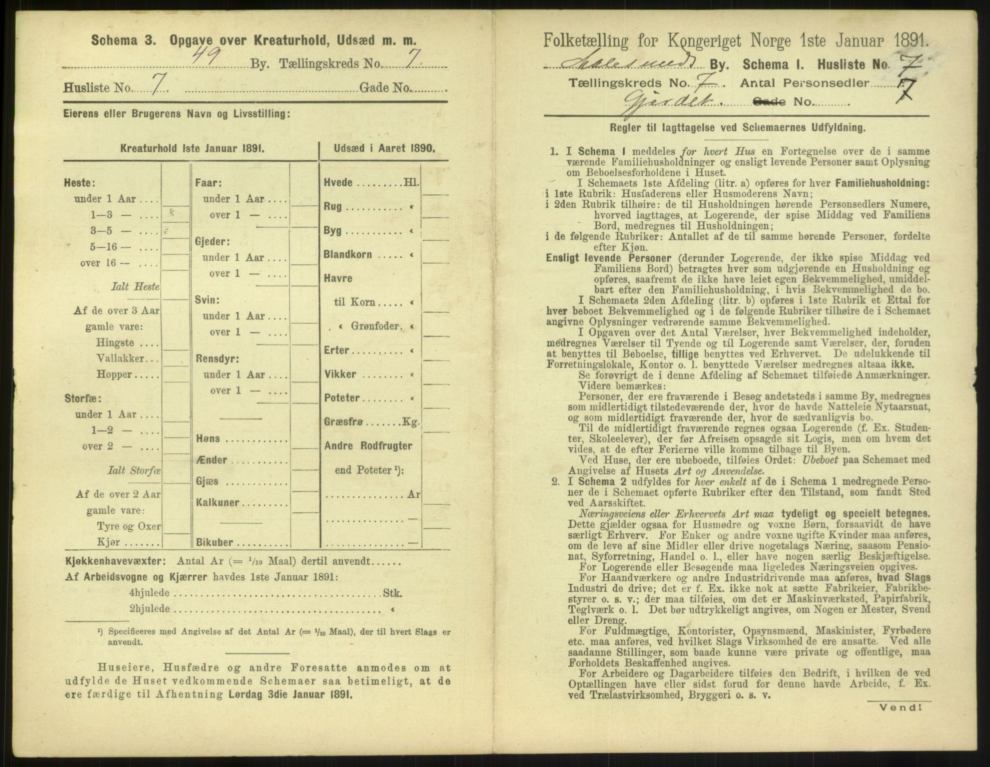 RA, 1891 census for 1501 Ålesund, 1891, p. 558