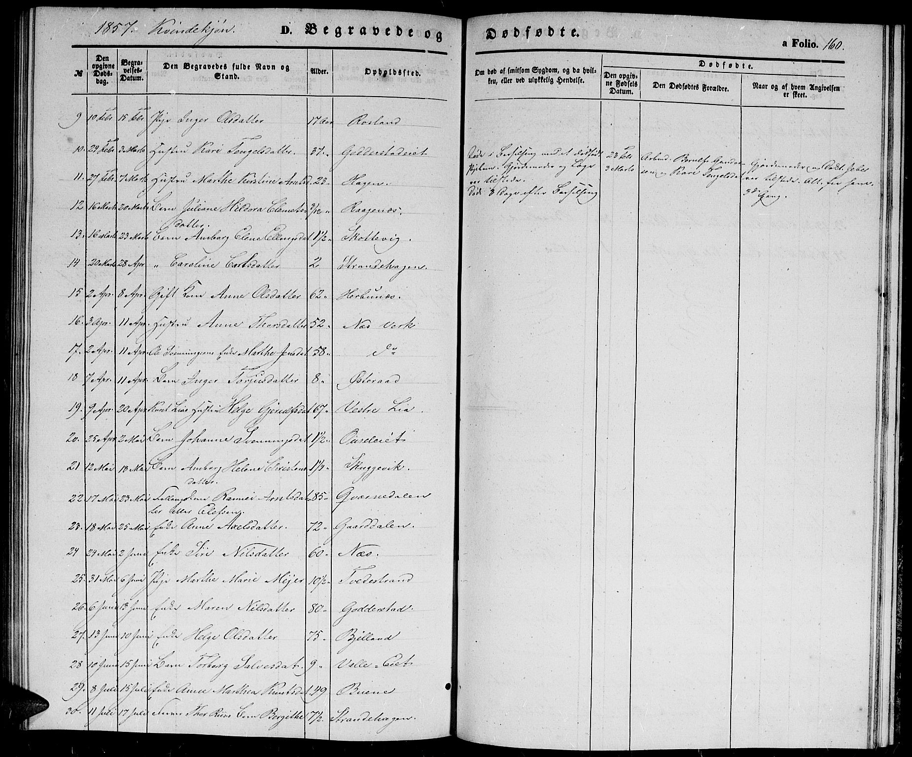 Holt sokneprestkontor, SAK/1111-0021/F/Fb/L0007: Parish register (copy) no. B 7, 1849-1858, p. 160