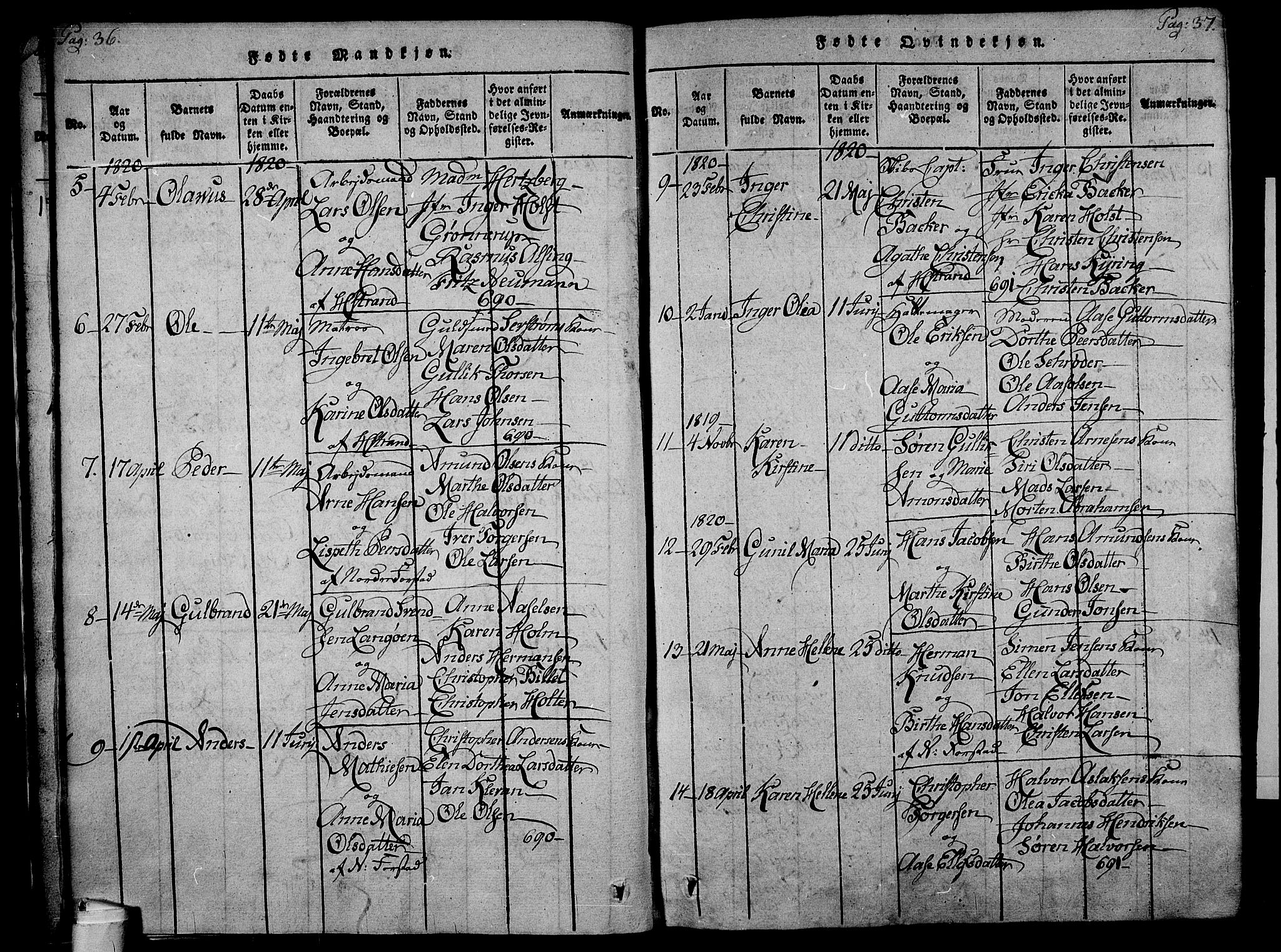 Holmestrand kirkebøker, SAKO/A-346/F/Fa/L0001: Parish register (official) no. 1, 1814-1840, p. 36-37