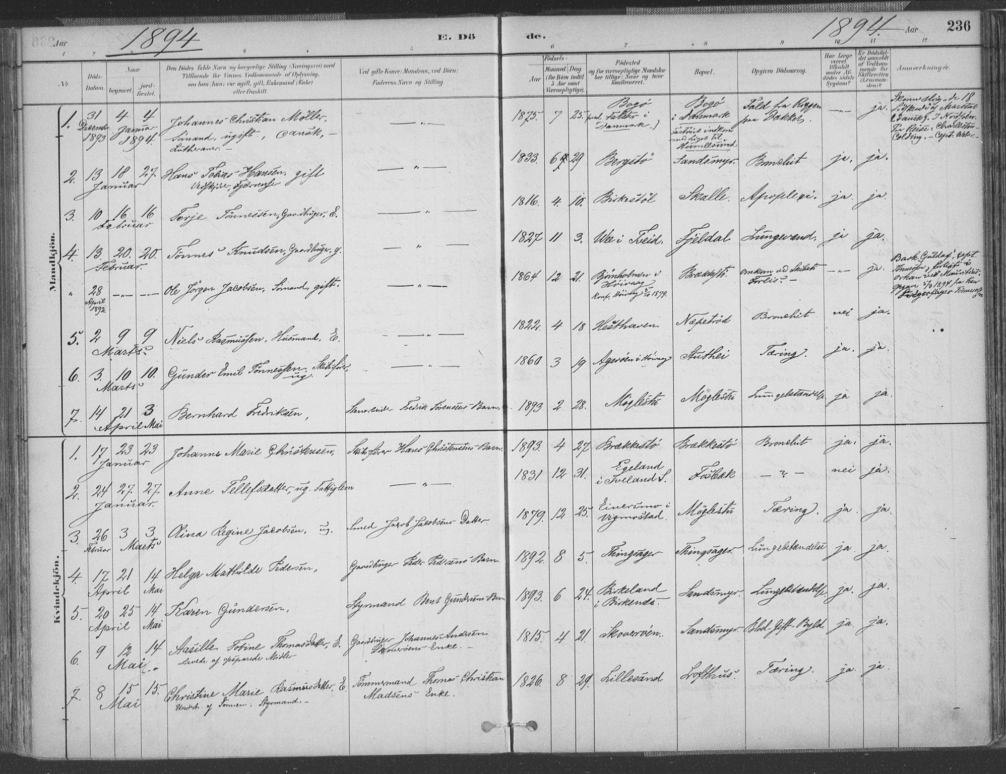 Vestre Moland sokneprestkontor, AV/SAK-1111-0046/F/Fa/Fab/L0009: Parish register (official) no. A 9, 1884-1899, p. 236