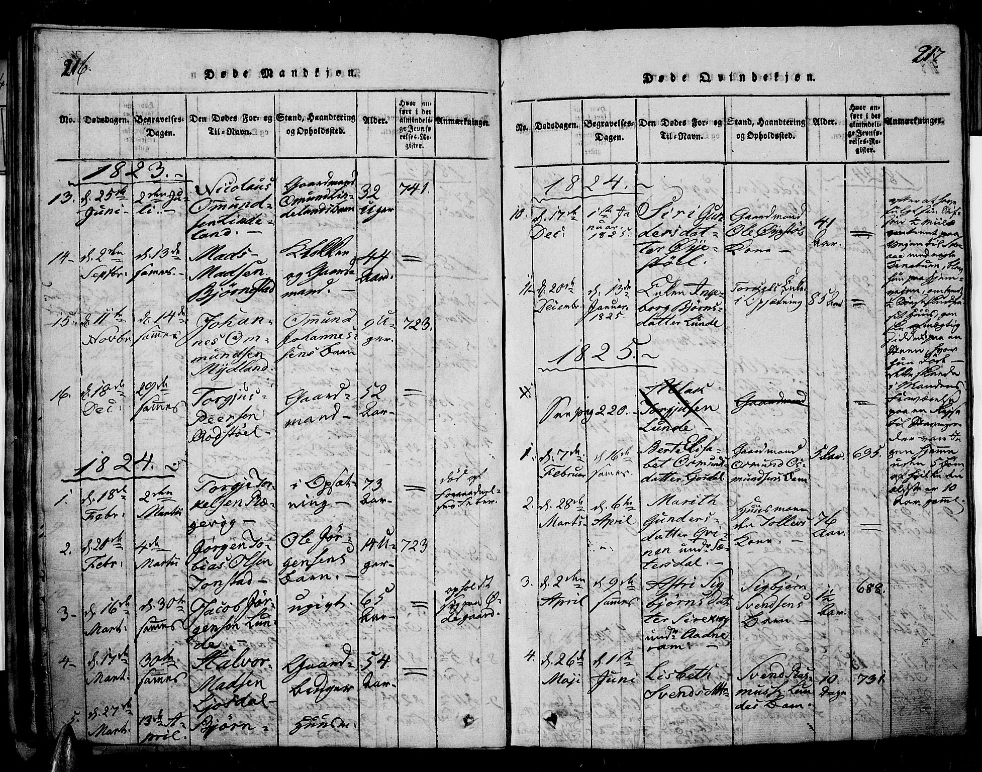 Sirdal sokneprestkontor, SAK/1111-0036/F/Fa/Fab/L0001: Parish register (official) no. A 1, 1815-1834, p. 216-217