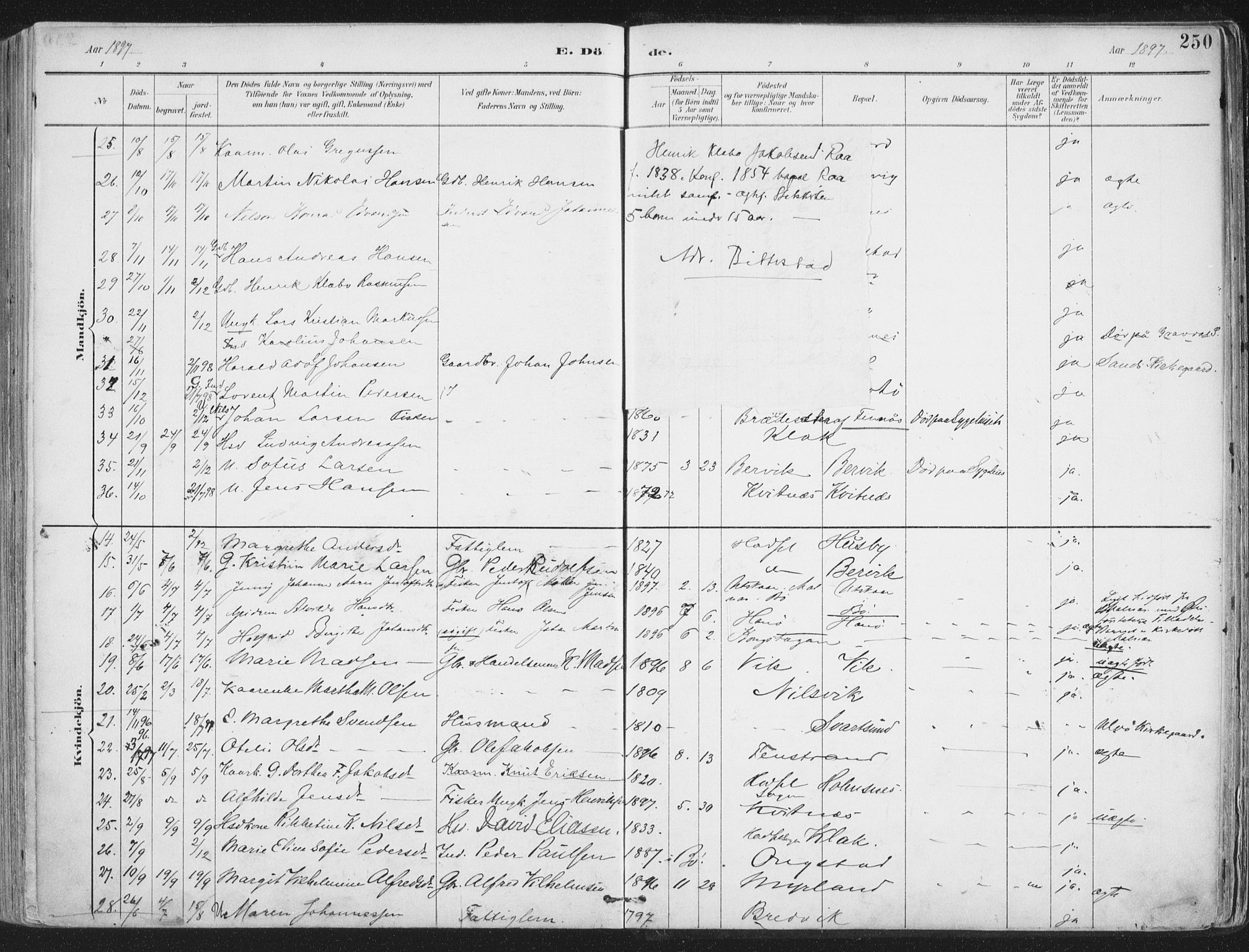 Ministerialprotokoller, klokkerbøker og fødselsregistre - Nordland, AV/SAT-A-1459/888/L1246: Parish register (official) no. 888A12, 1891-1903, p. 250