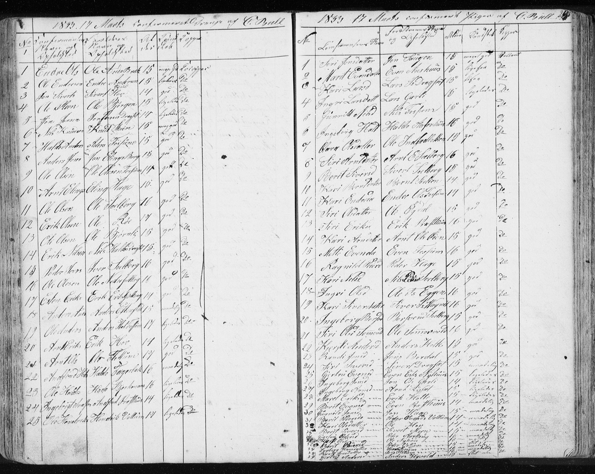 Ministerialprotokoller, klokkerbøker og fødselsregistre - Sør-Trøndelag, SAT/A-1456/689/L1043: Parish register (copy) no. 689C02, 1816-1892, p. 258