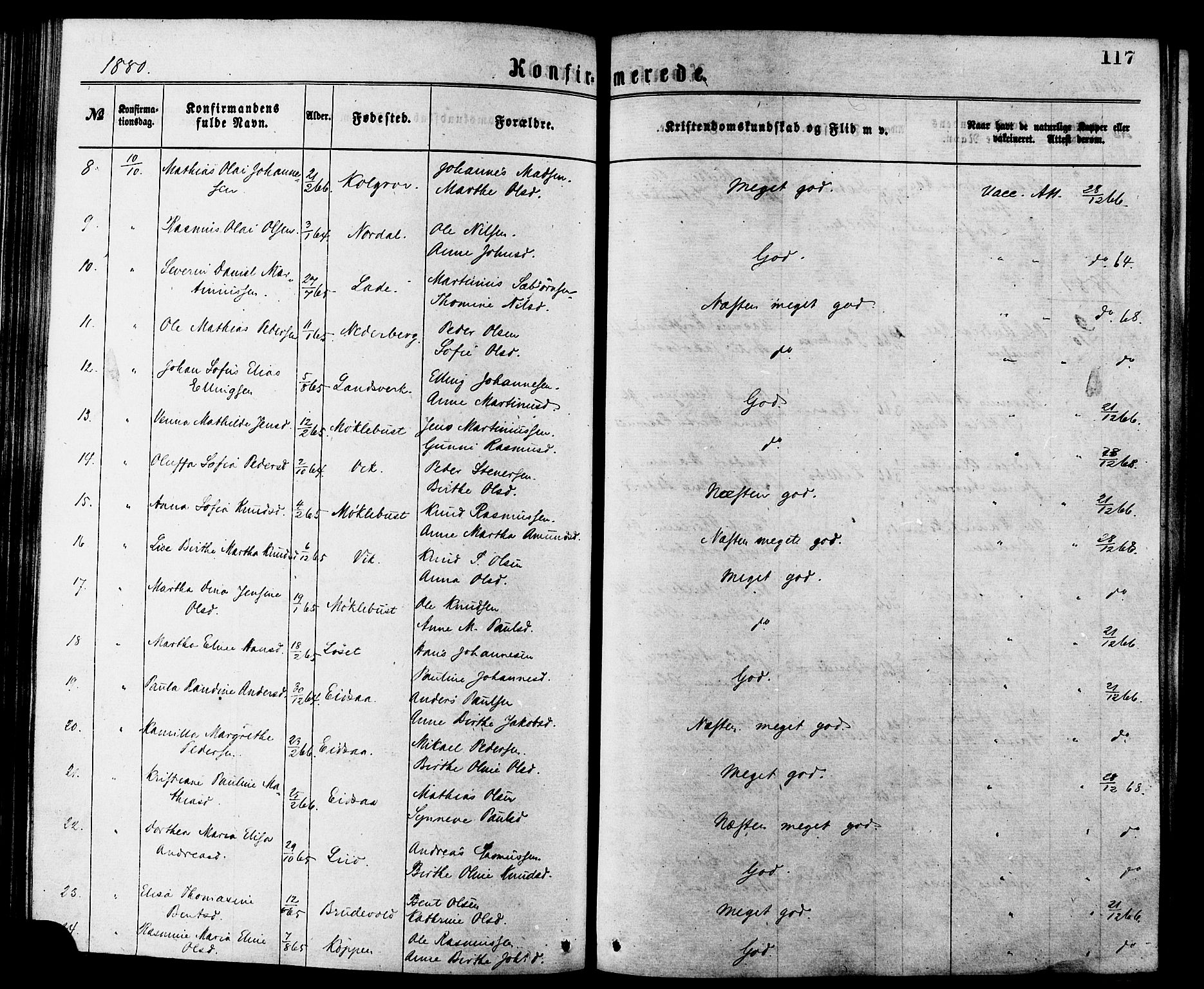 Ministerialprotokoller, klokkerbøker og fødselsregistre - Møre og Romsdal, AV/SAT-A-1454/502/L0024: Parish register (official) no. 502A02, 1873-1884, p. 117