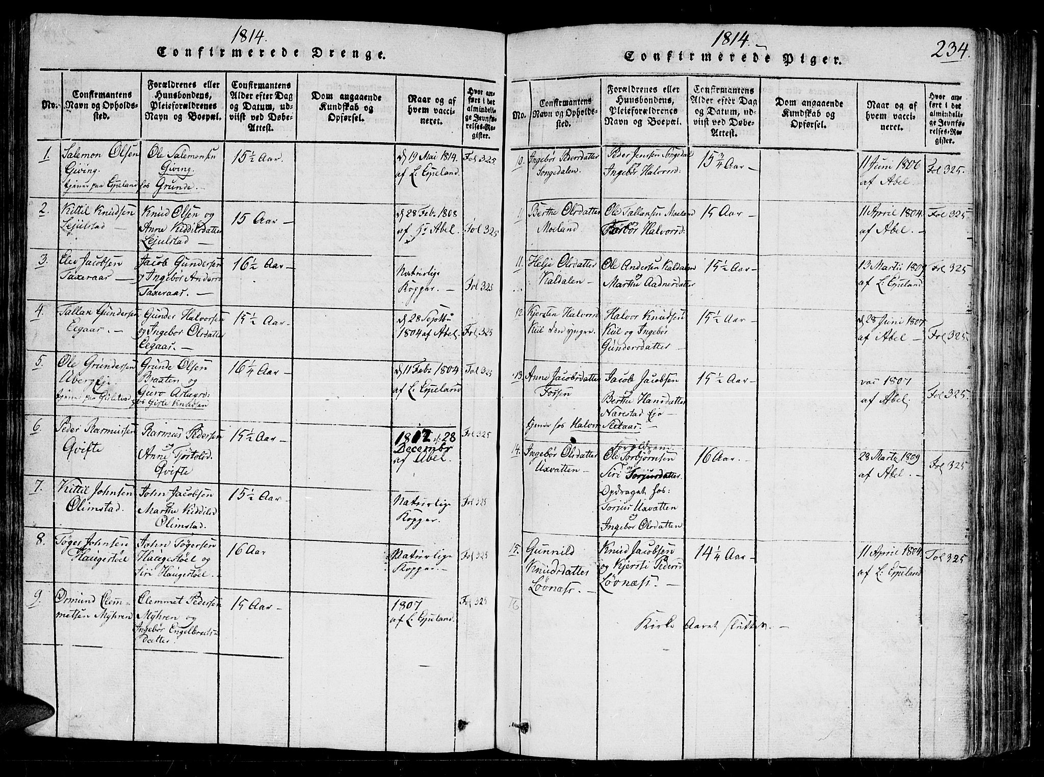 Gjerstad sokneprestkontor, SAK/1111-0014/F/Fb/Fbb/L0001: Parish register (copy) no. B 1, 1813-1863, p. 234