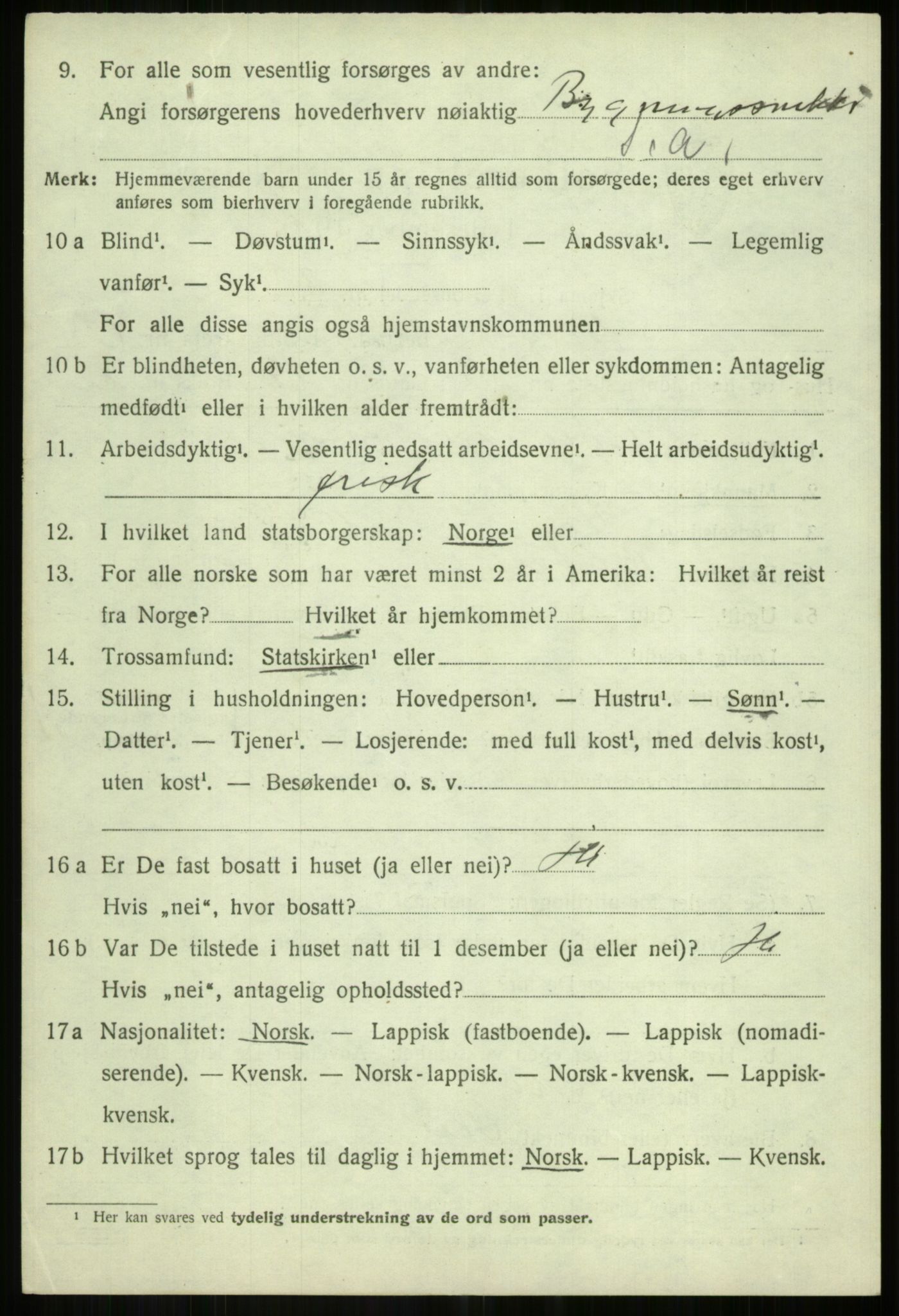 SATØ, 1920 census for Salangen, 1920, p. 3295