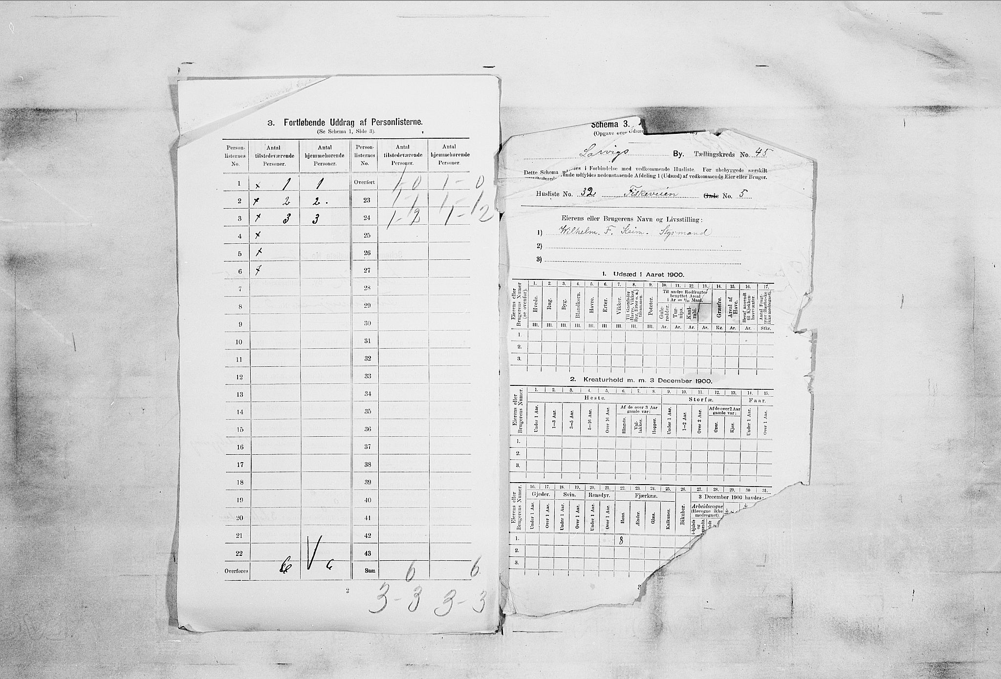 RA, 1900 census for Larvik, 1900, p. 6510