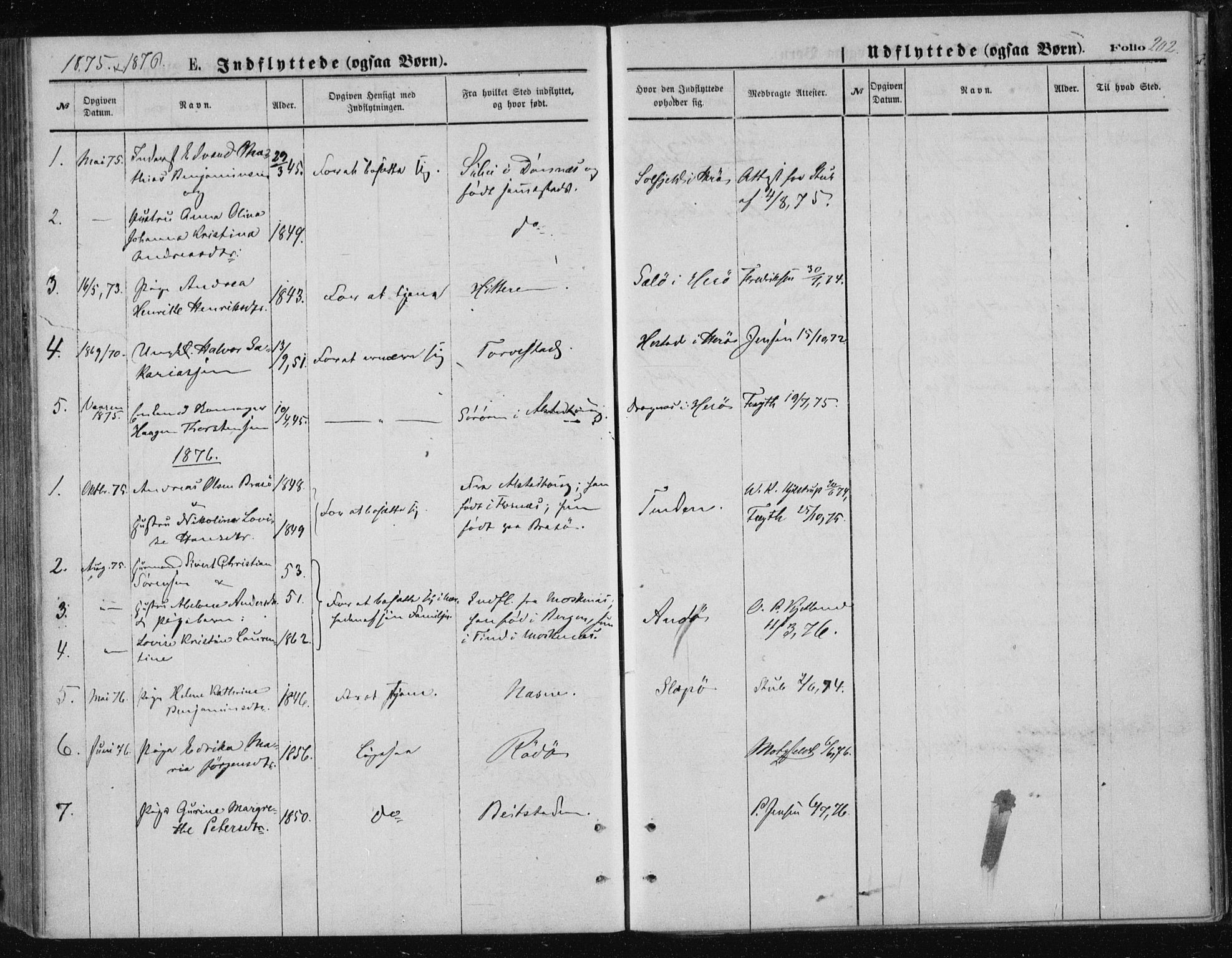 Ministerialprotokoller, klokkerbøker og fødselsregistre - Nordland, AV/SAT-A-1459/834/L0506: Parish register (official) no. 834A04, 1872-1878, p. 202