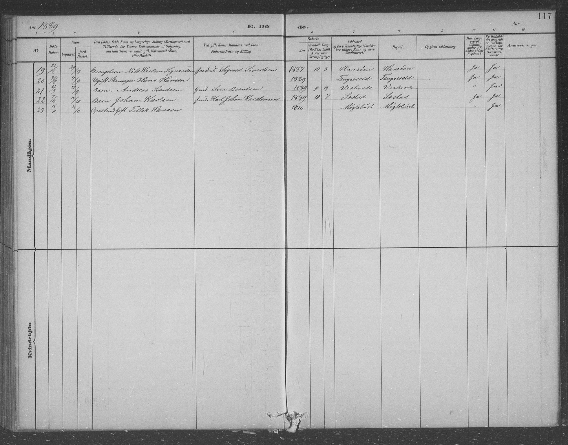 Eigersund sokneprestkontor, AV/SAST-A-101807/S09/L0007: Parish register (copy) no. B 7, 1882-1892, p. 117