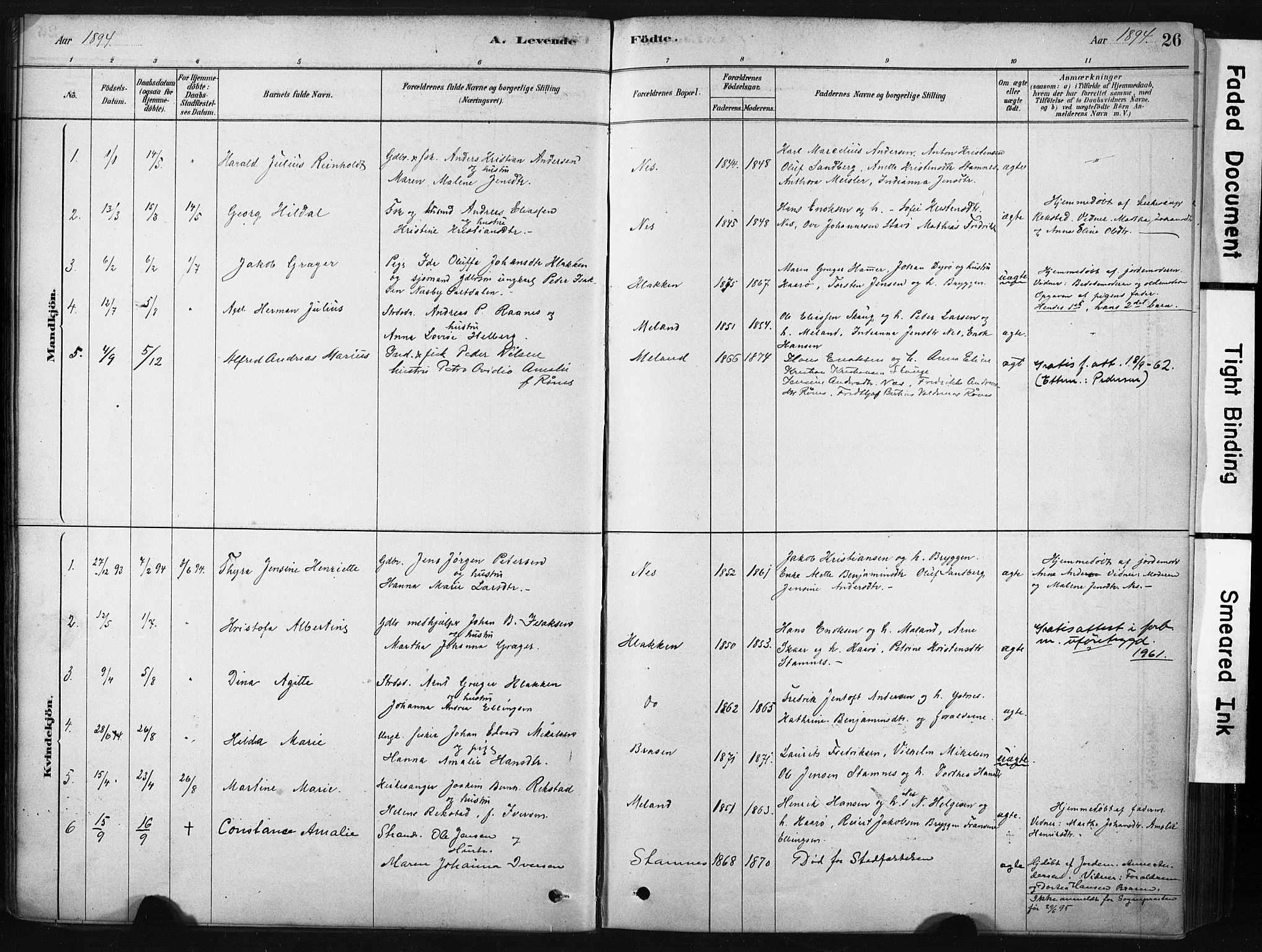 Ministerialprotokoller, klokkerbøker og fødselsregistre - Nordland, AV/SAT-A-1459/808/L0128: Parish register (official) no. 808A01, 1880-1902, p. 26