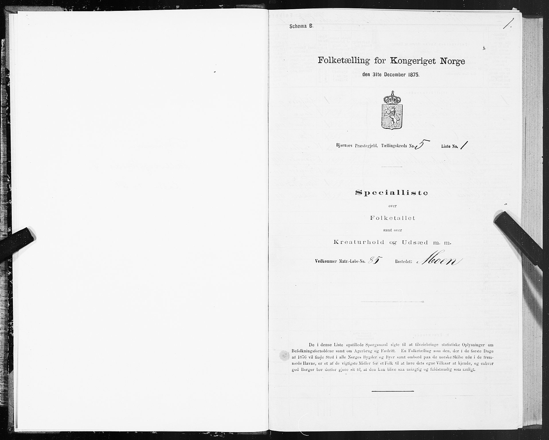 SAT, 1875 census for 1632P Bjørnør, 1875, p. 3001