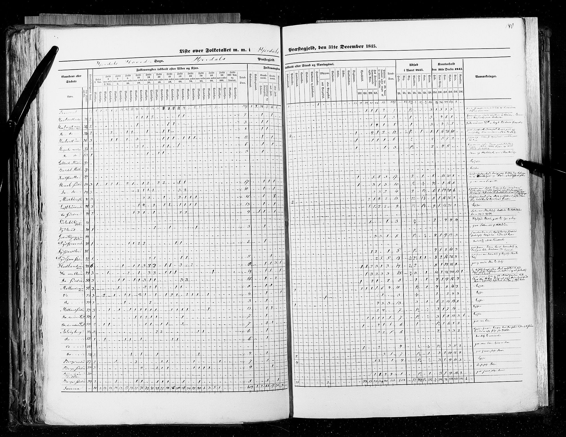 RA, Census 1845, vol. 5: Bratsberg amt og Nedenes og Råbyggelaget amt, 1845, p. 140