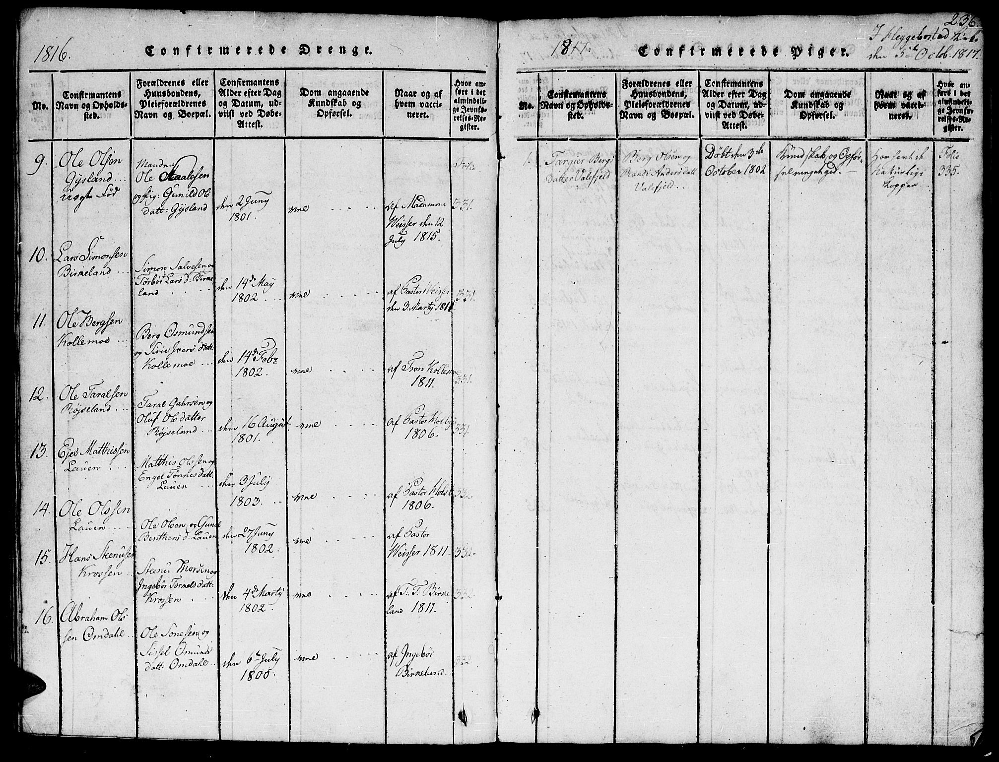 Hægebostad sokneprestkontor, SAK/1111-0024/F/Fb/Fba/L0001: Parish register (copy) no. B 1, 1815-1844, p. 236