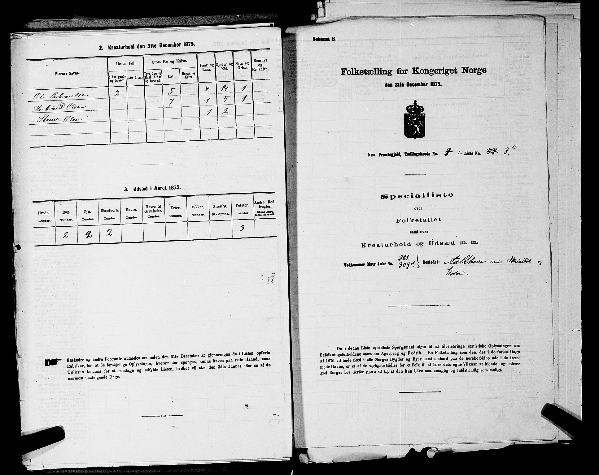 SAKO, 1875 census for 0616P Nes, 1875, p. 852