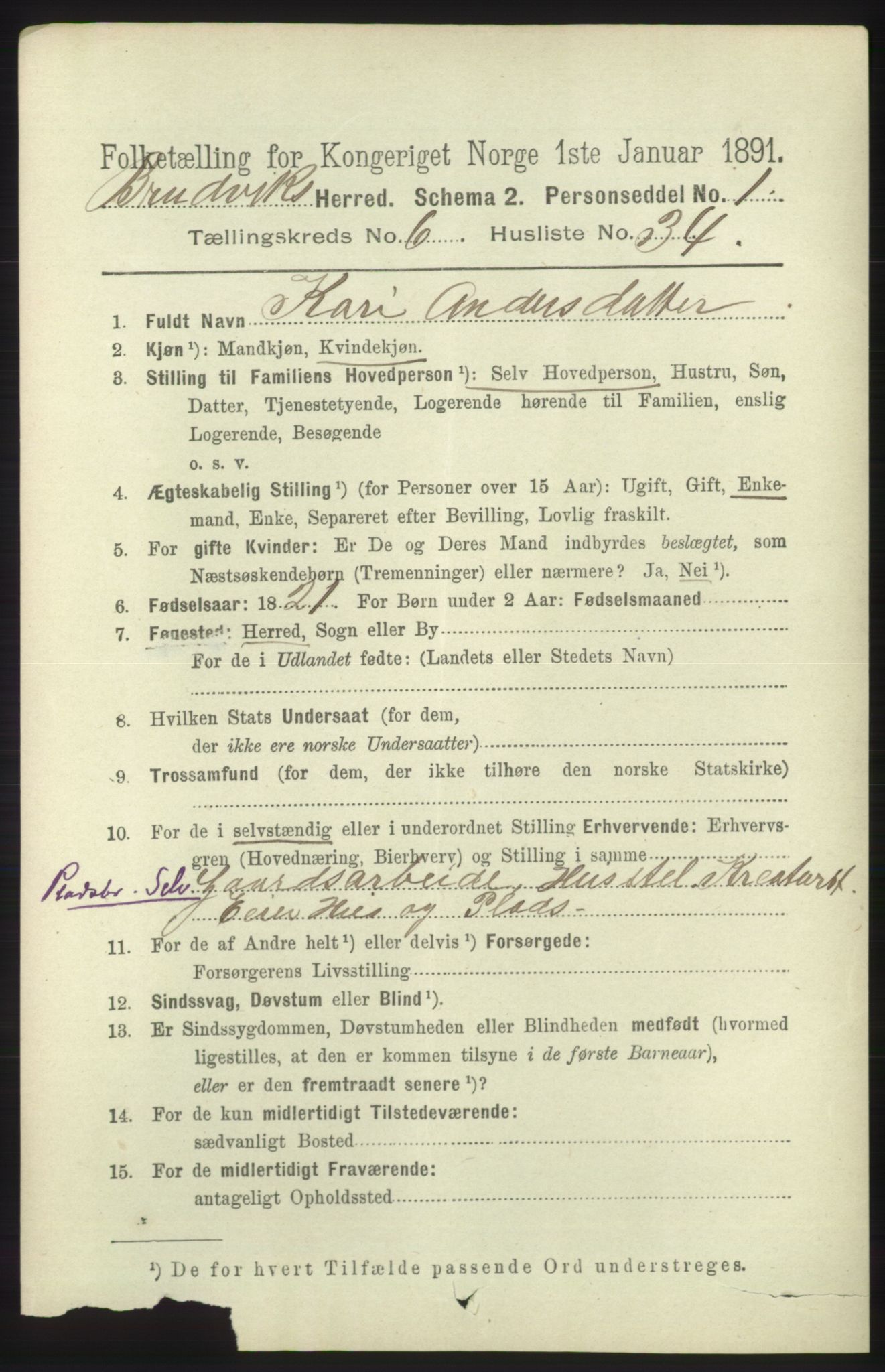 RA, 1891 census for 1251 Bruvik, 1891, p. 2012