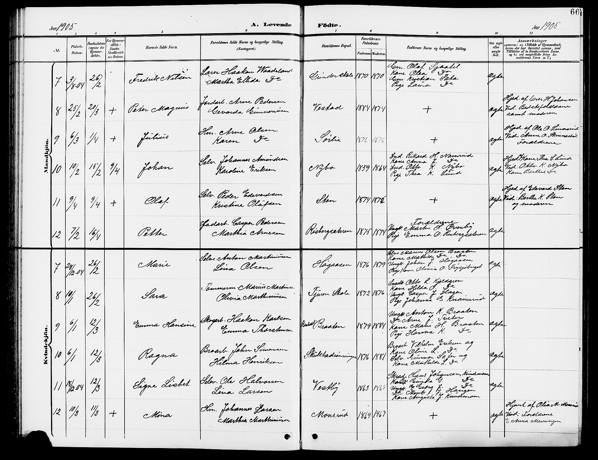 Grue prestekontor, SAH/PREST-036/H/Ha/Hab/L0005: Parish register (copy) no. 5, 1900-1909, p. 66
