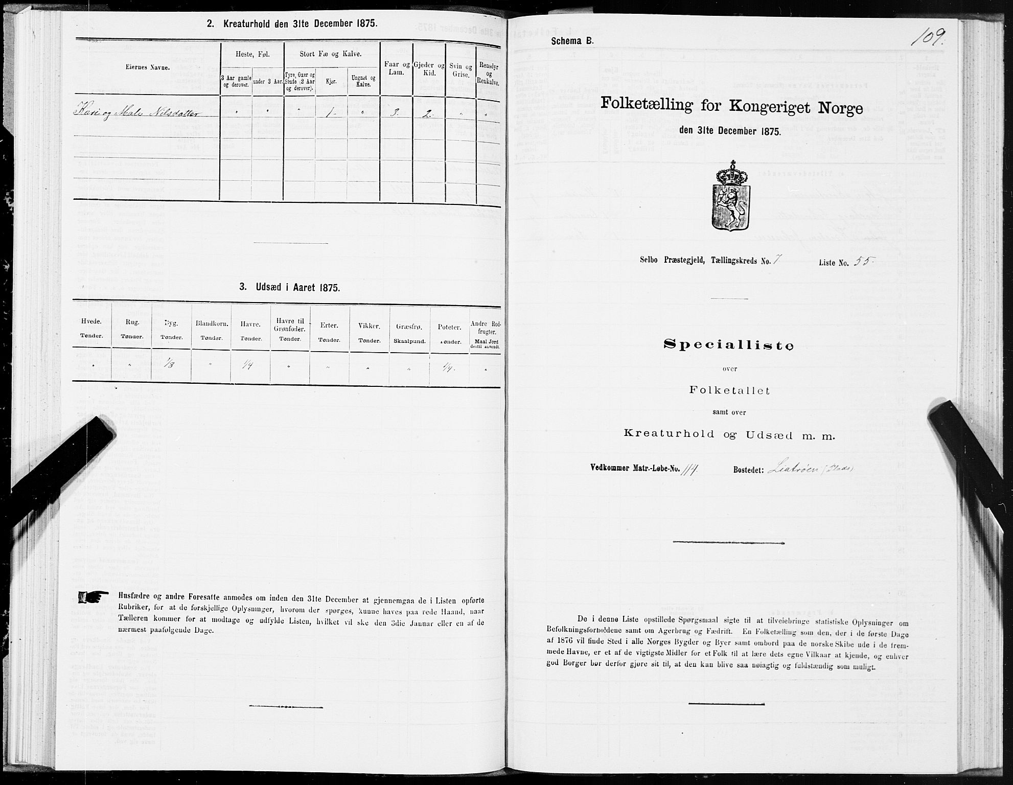 SAT, 1875 census for 1664P Selbu, 1875, p. 4109