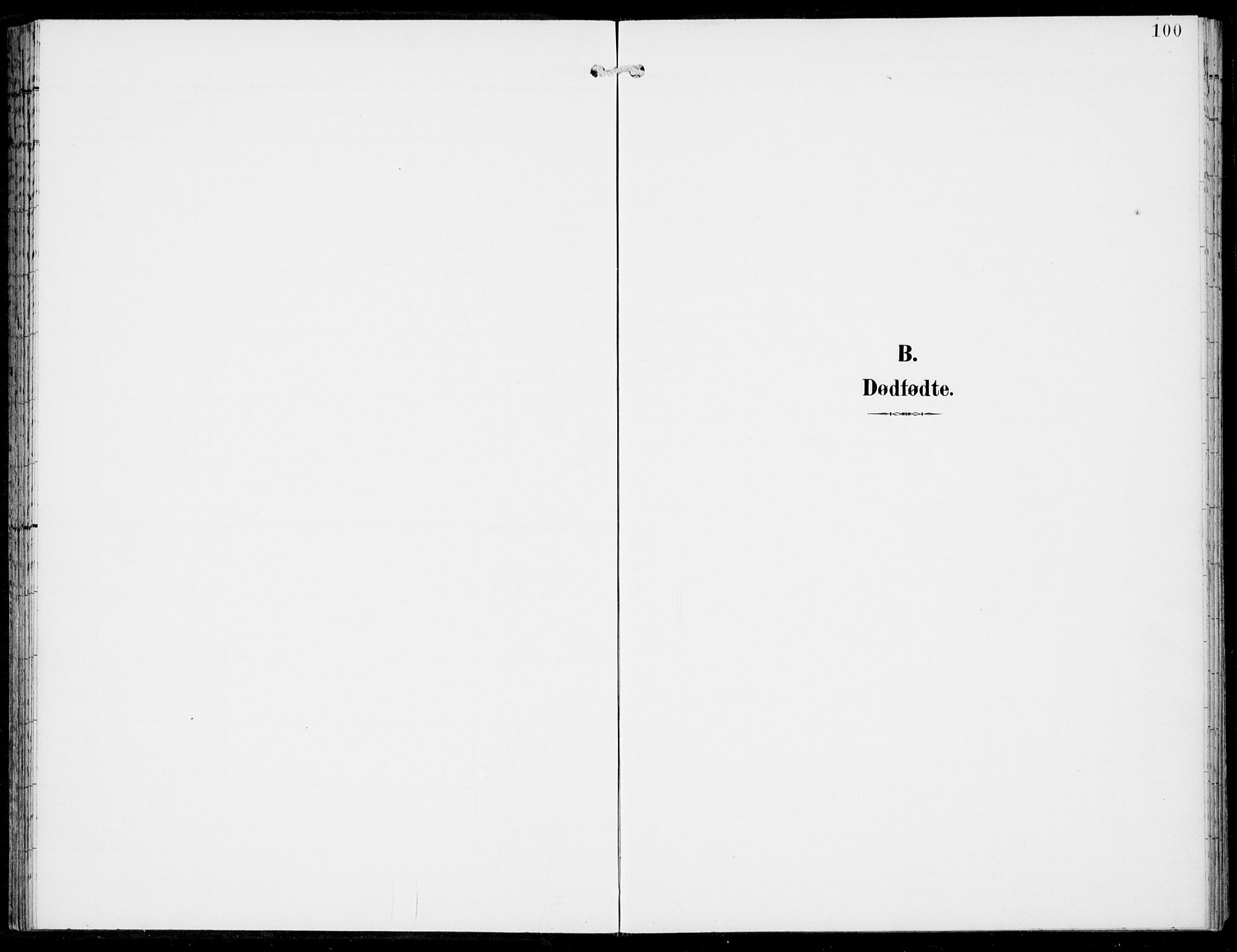 Haus sokneprestembete, AV/SAB-A-75601/H/Haa: Parish register (official) no. C  2, 1900-1915, p. 100