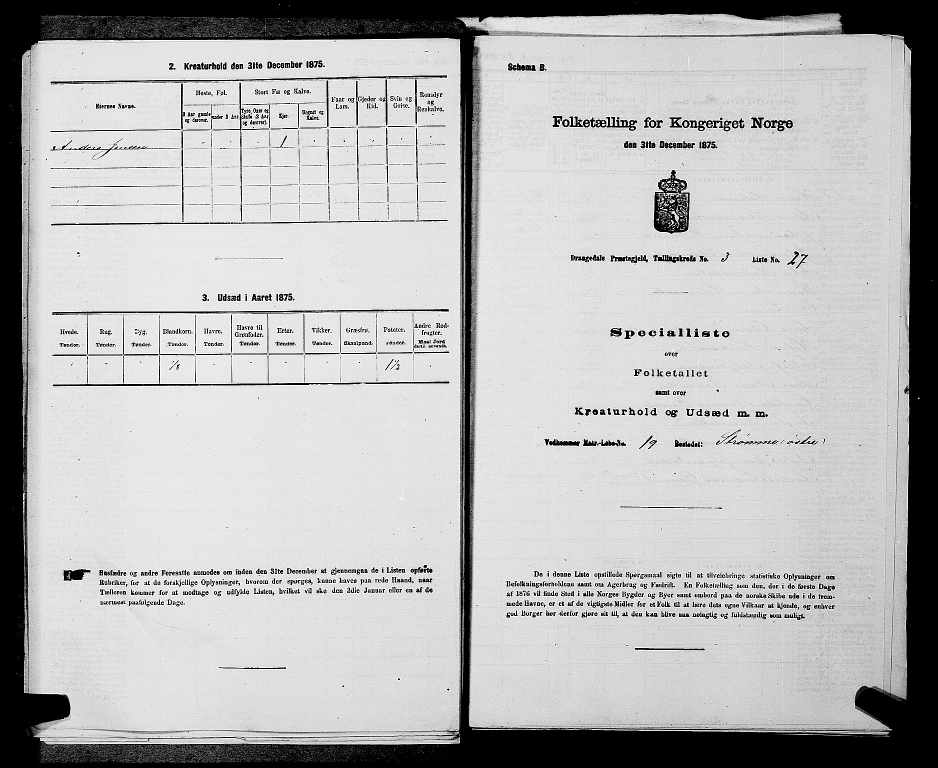 SAKO, 1875 census for 0817P Drangedal, 1875, p. 382