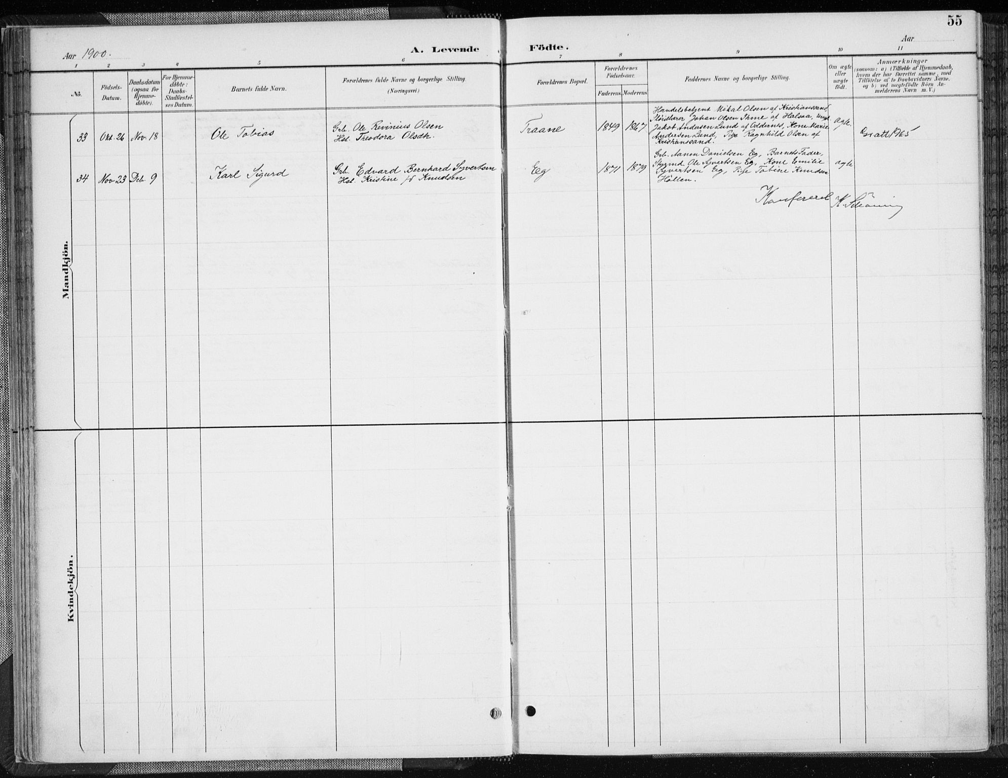 Søgne sokneprestkontor, SAK/1111-0037/F/Fa/Fab/L0013: Parish register (official) no. A 13, 1892-1911, p. 55