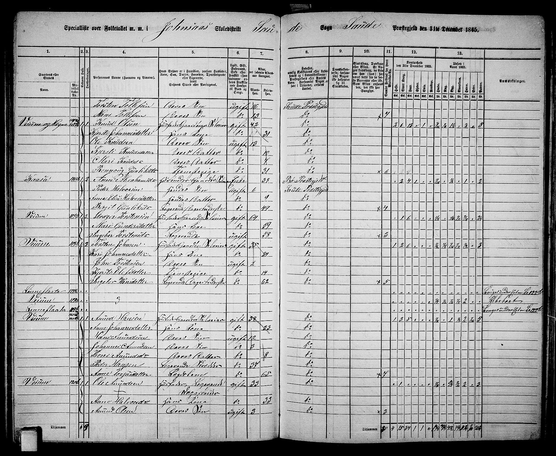 RA, 1865 census for Sauherad, 1865, p. 101