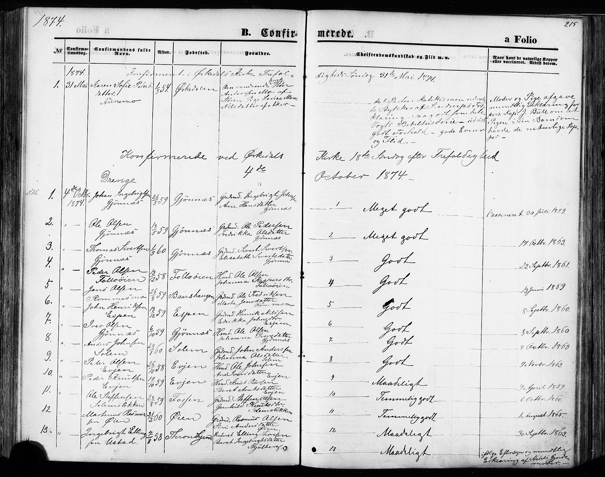 Ministerialprotokoller, klokkerbøker og fødselsregistre - Sør-Trøndelag, SAT/A-1456/668/L0807: Parish register (official) no. 668A07, 1870-1880, p. 215