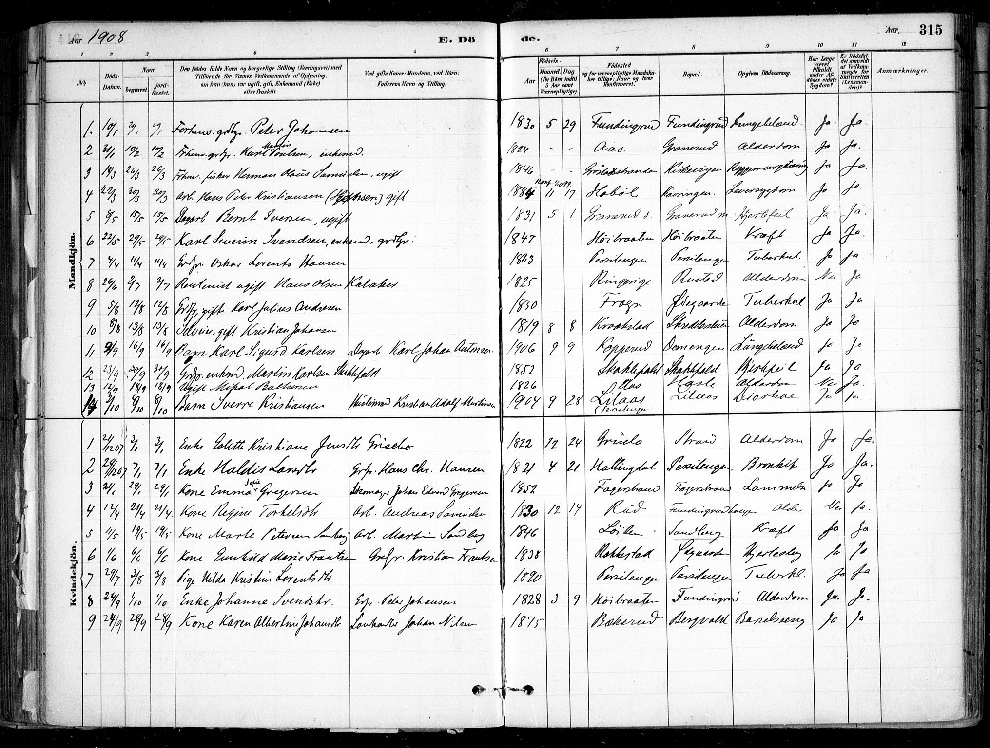 Nesodden prestekontor Kirkebøker, SAO/A-10013/F/Fa/L0009: Parish register (official) no. I 9, 1880-1915, p. 315