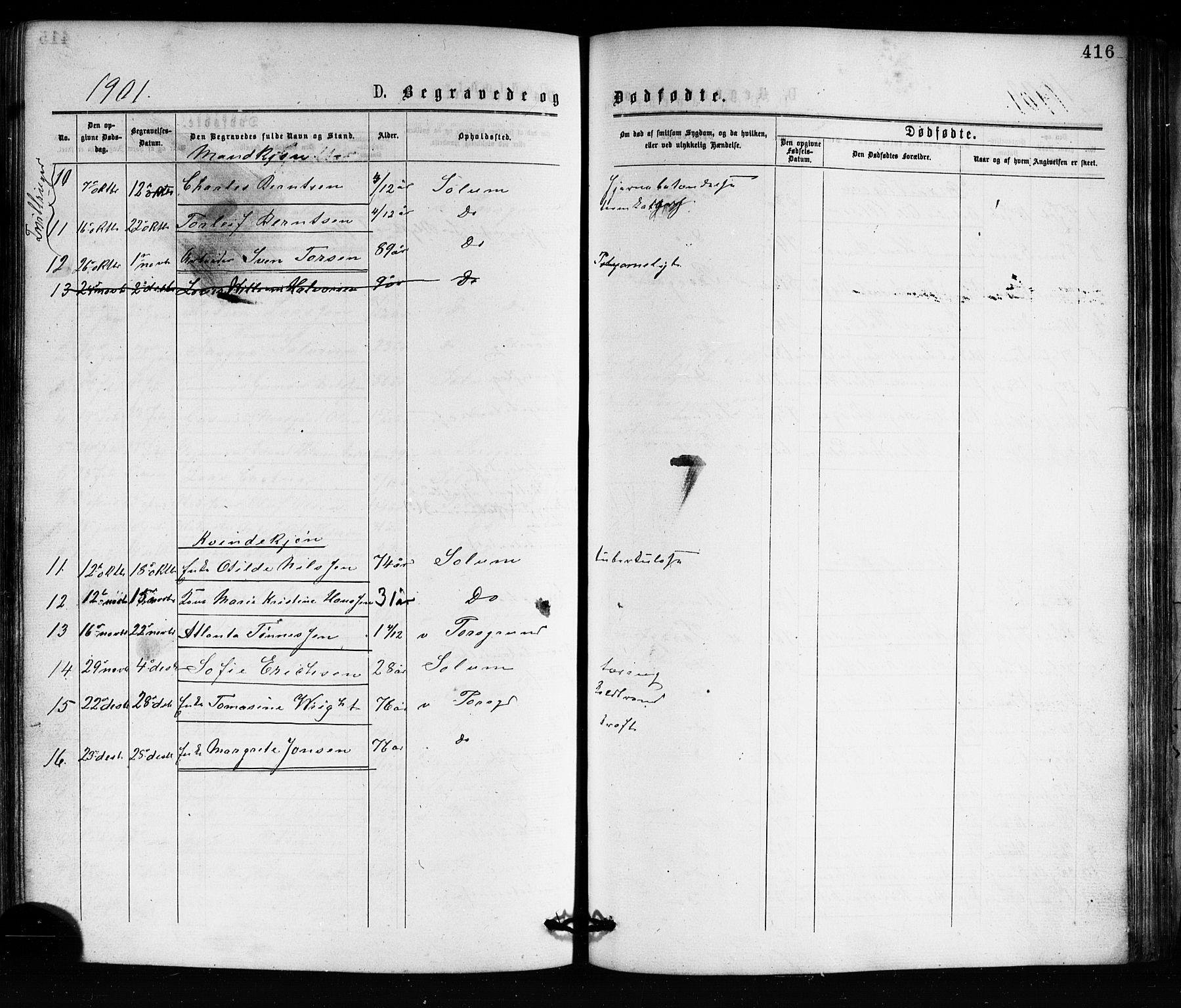 Porsgrunn kirkebøker , AV/SAKO-A-104/G/Ga/L0003: Parish register (copy) no. I 3, 1877-1915, p. 416