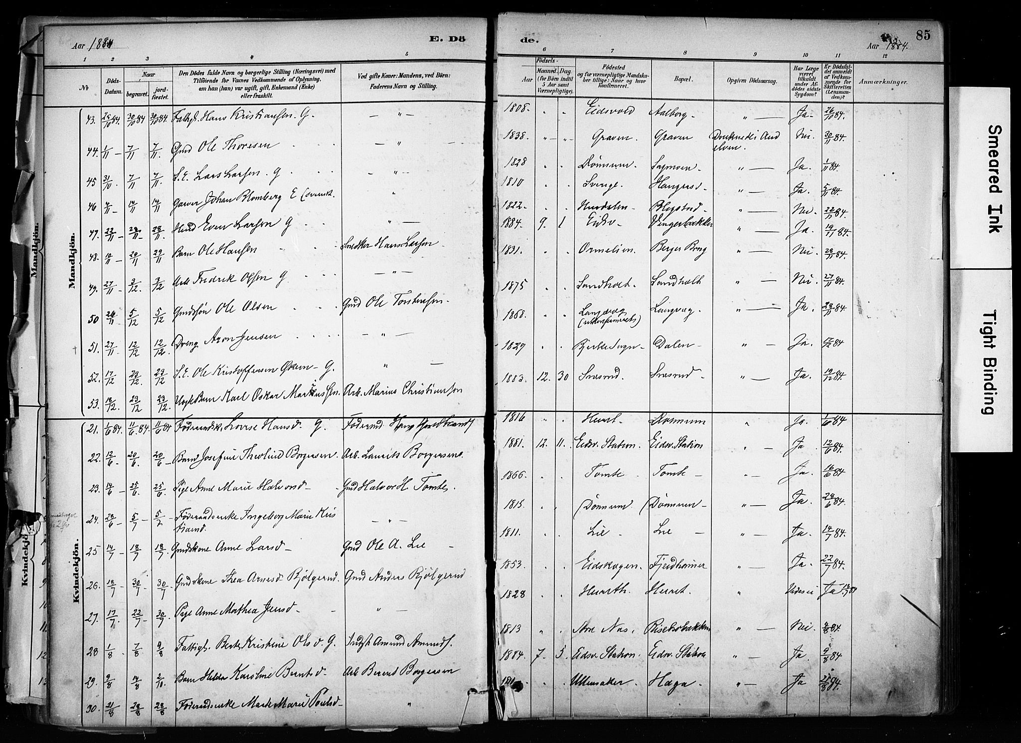 Eidsvoll prestekontor Kirkebøker, SAO/A-10888/F/Fa/L0003: Parish register (official) no. I 3, 1882-1895, p. 85