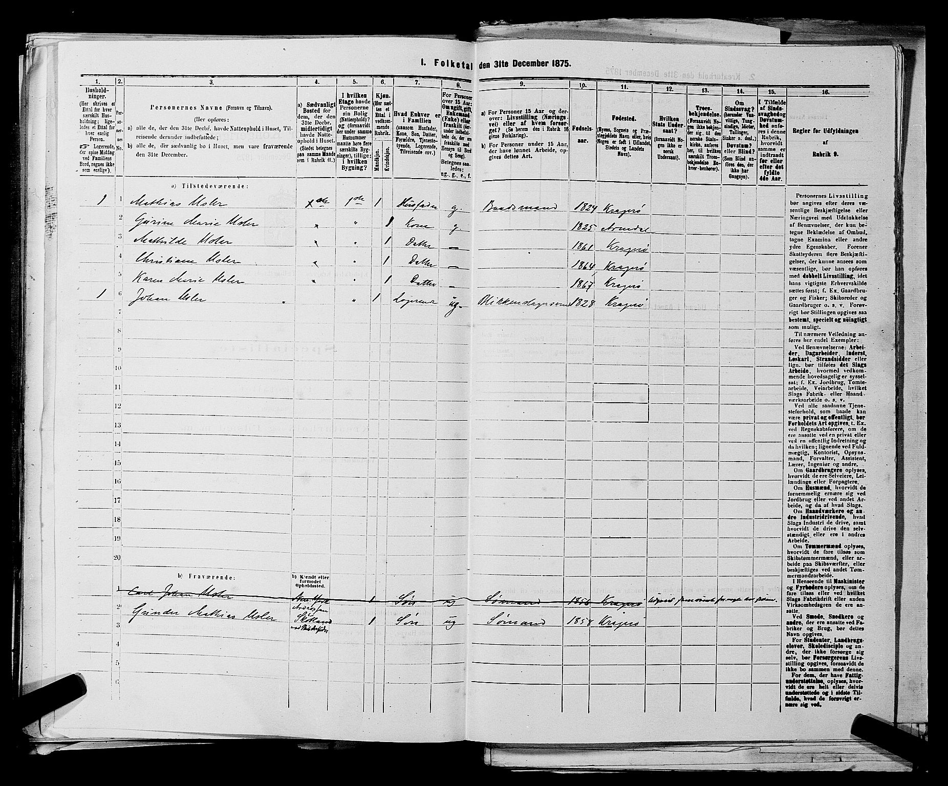 SAKO, 1875 census for 0801P Kragerø, 1875, p. 992