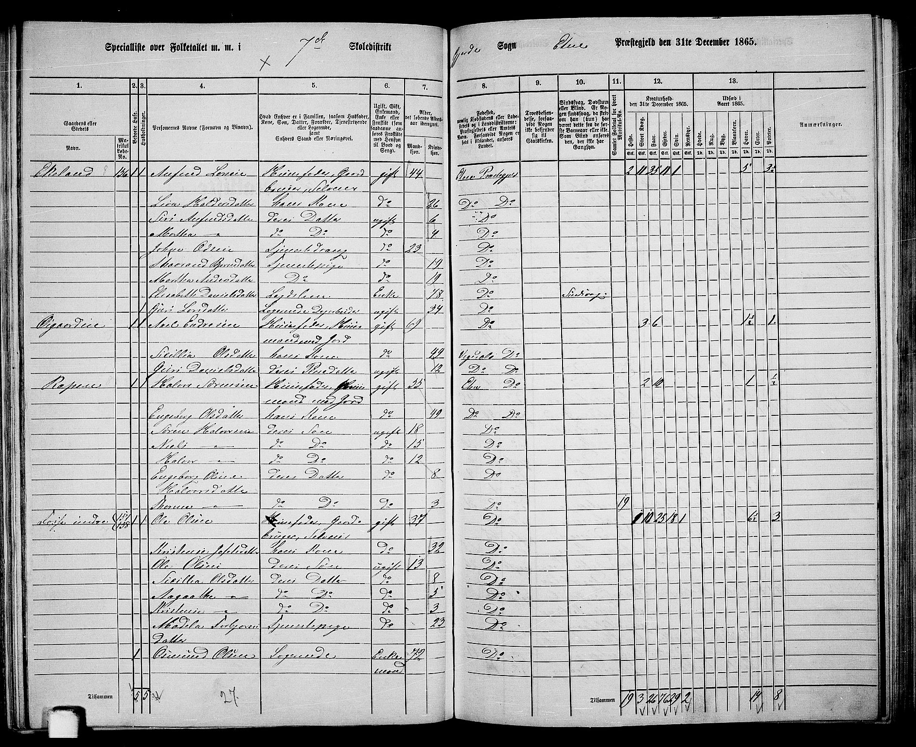 RA, 1865 census for Etne, 1865, p. 116