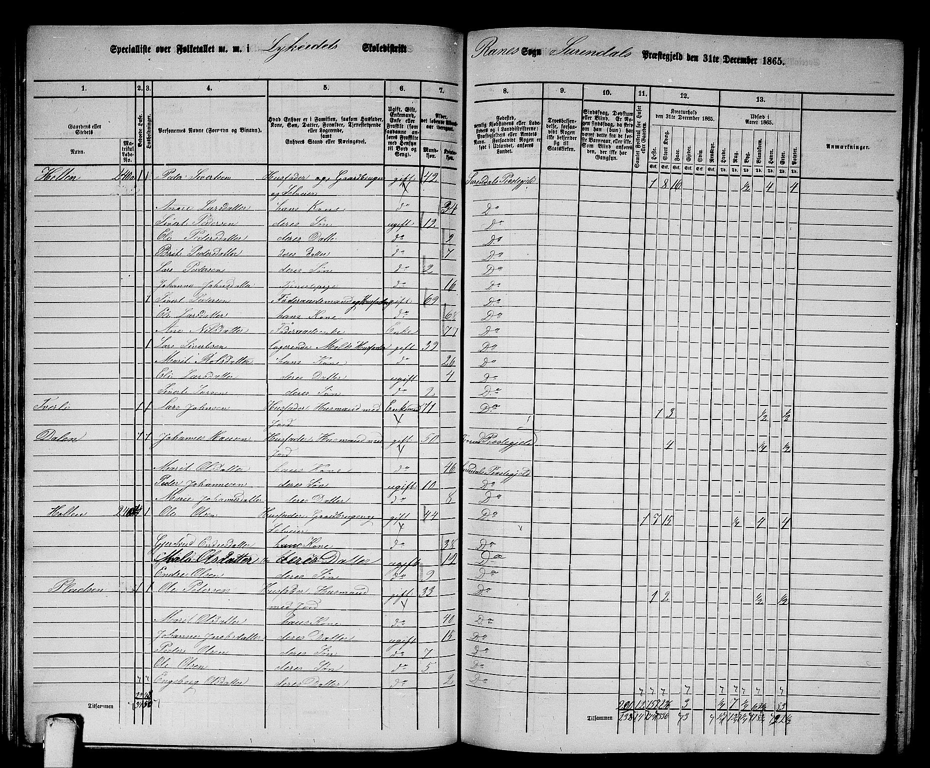 RA, 1865 census for Surnadal, 1865, p. 104