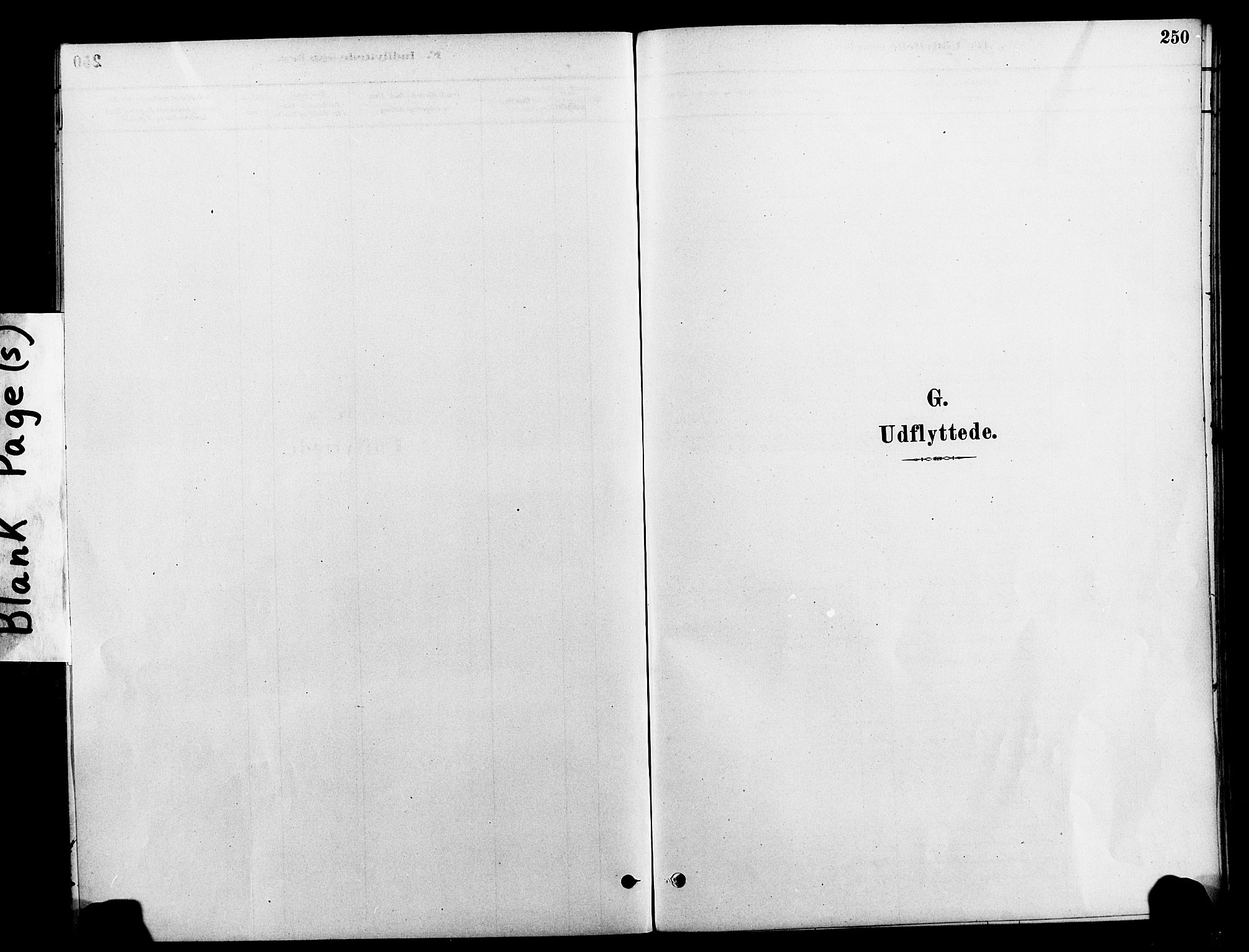 Ministerialprotokoller, klokkerbøker og fødselsregistre - Nord-Trøndelag, SAT/A-1458/712/L0100: Parish register (official) no. 712A01, 1880-1900, p. 250