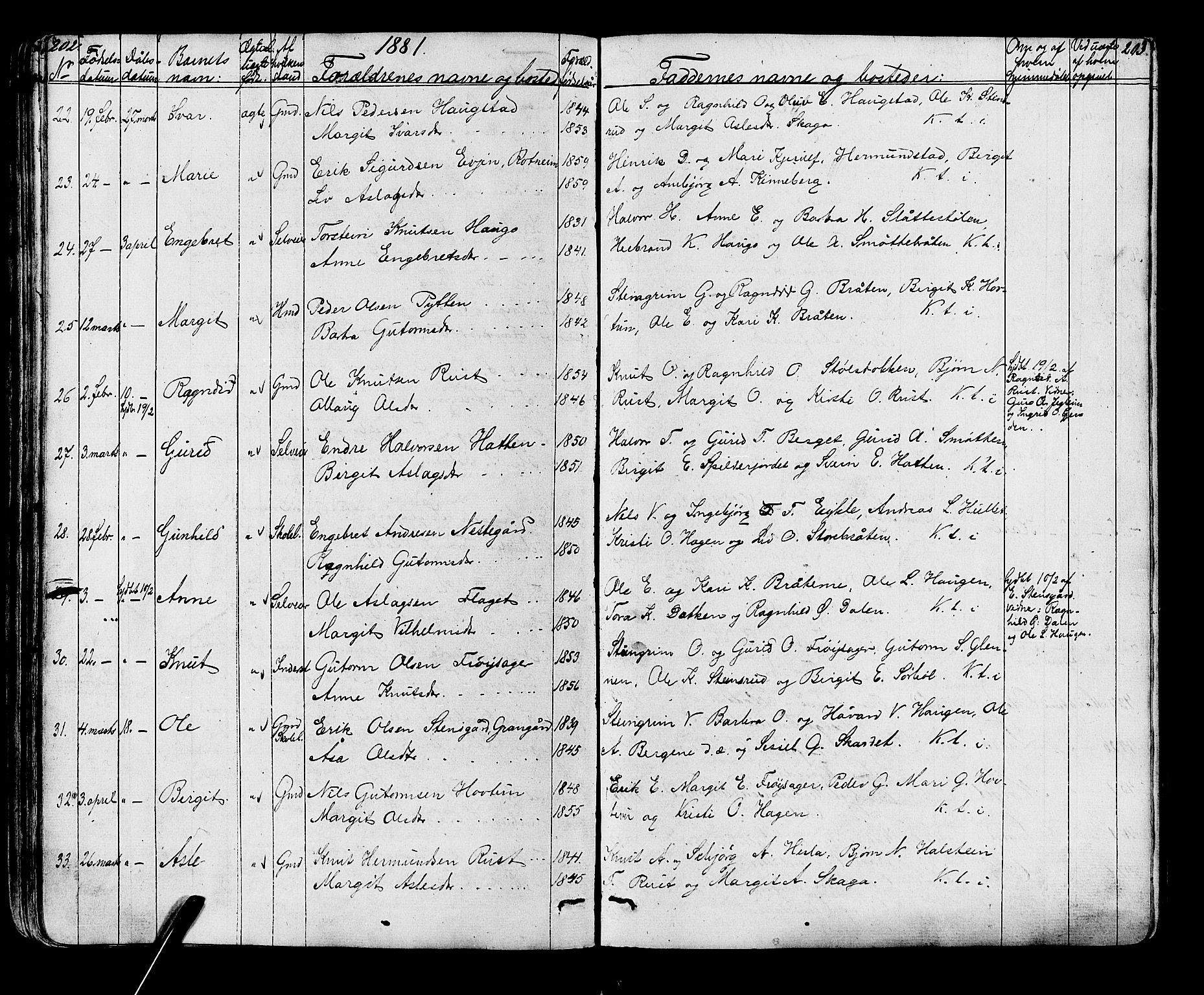 Gol kirkebøker, AV/SAKO-A-226/G/Ga/L0002: Parish register (copy) no. I 2, 1860-1887, p. 202-203