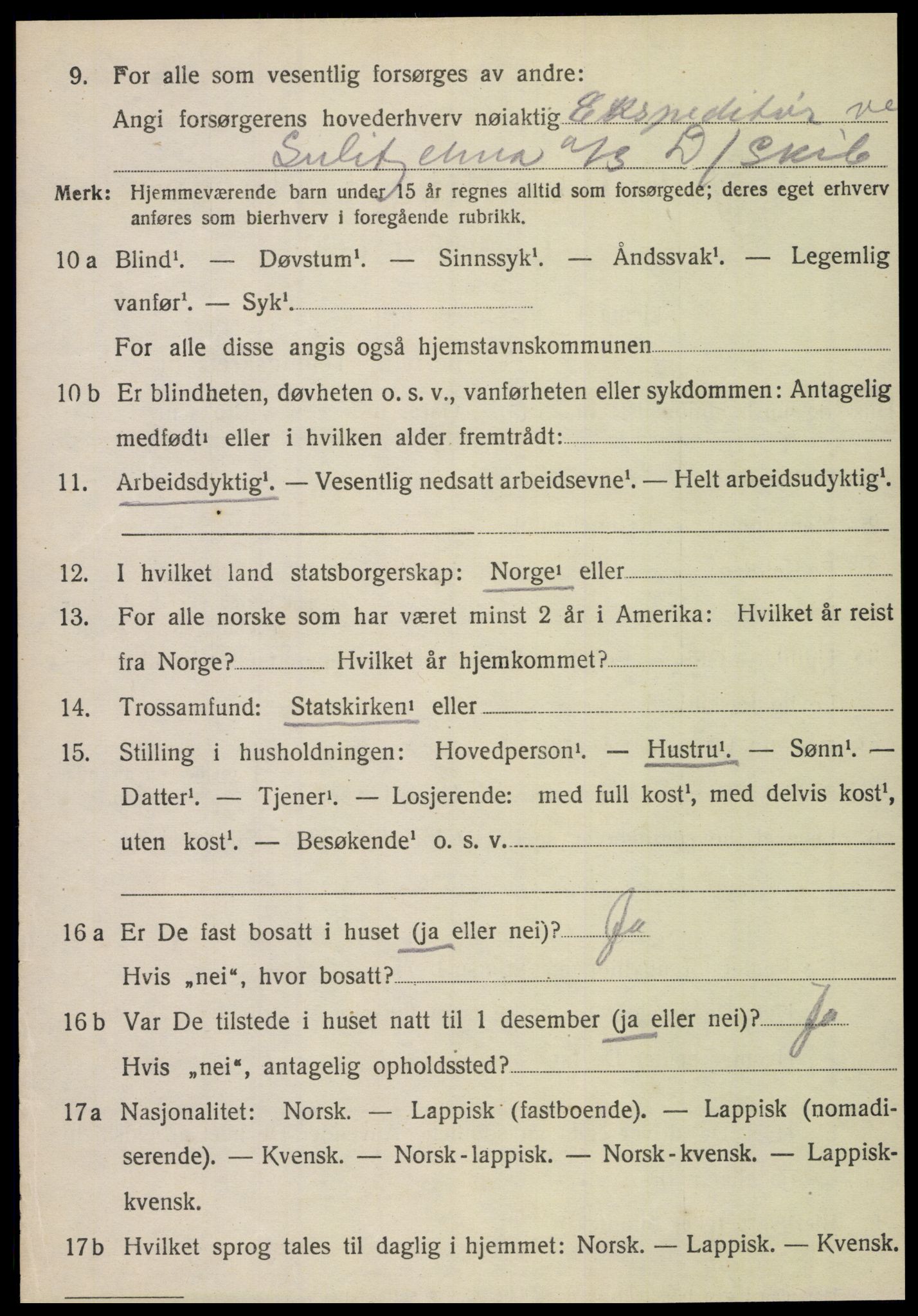 SAT, 1920 census for Fauske, 1920, p. 10089