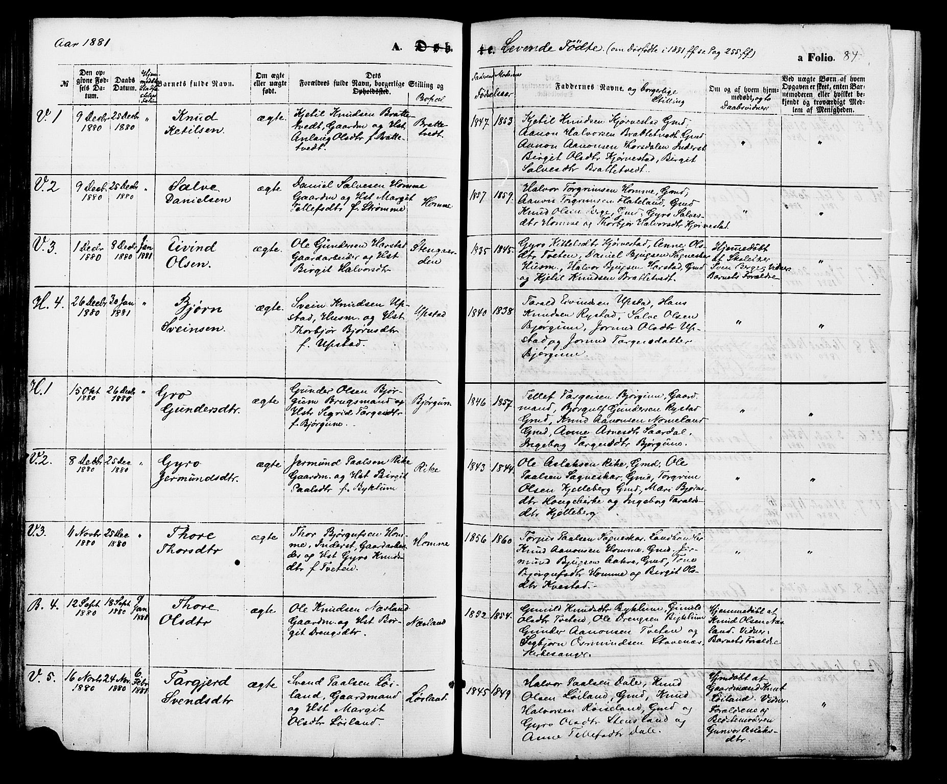 Valle sokneprestkontor, AV/SAK-1111-0044/F/Fa/Fac/L0008: Parish register (official) no. A 8, 1868-1882, p. 84