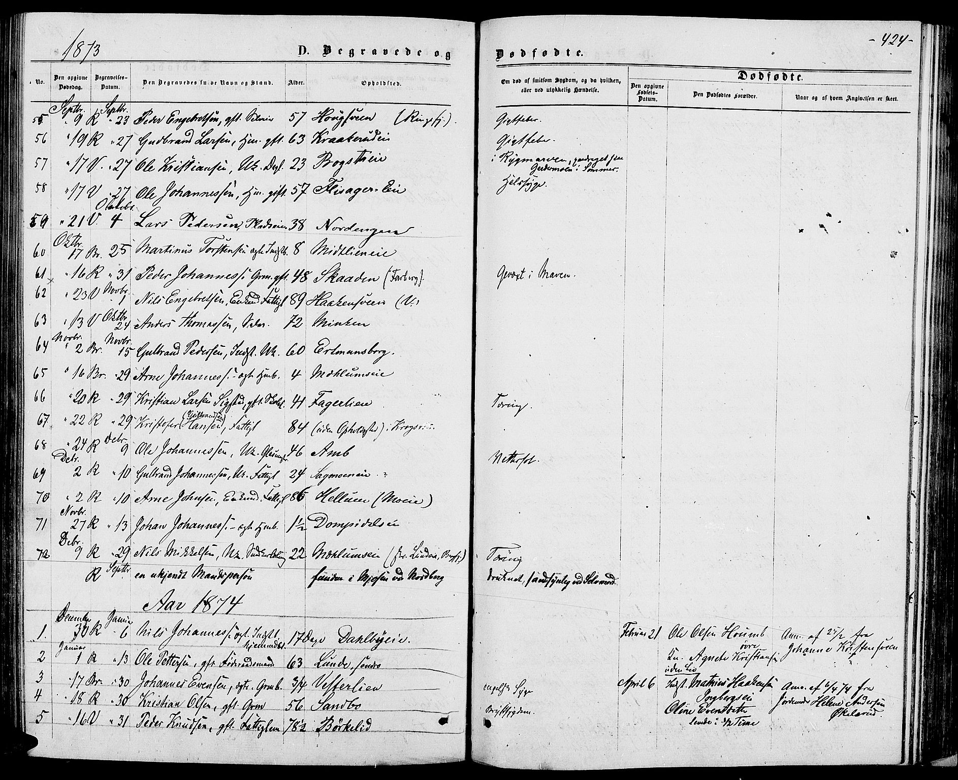 Ringsaker prestekontor, AV/SAH-PREST-014/L/La/L0008: Parish register (copy) no. 8, 1870-1878, p. 424