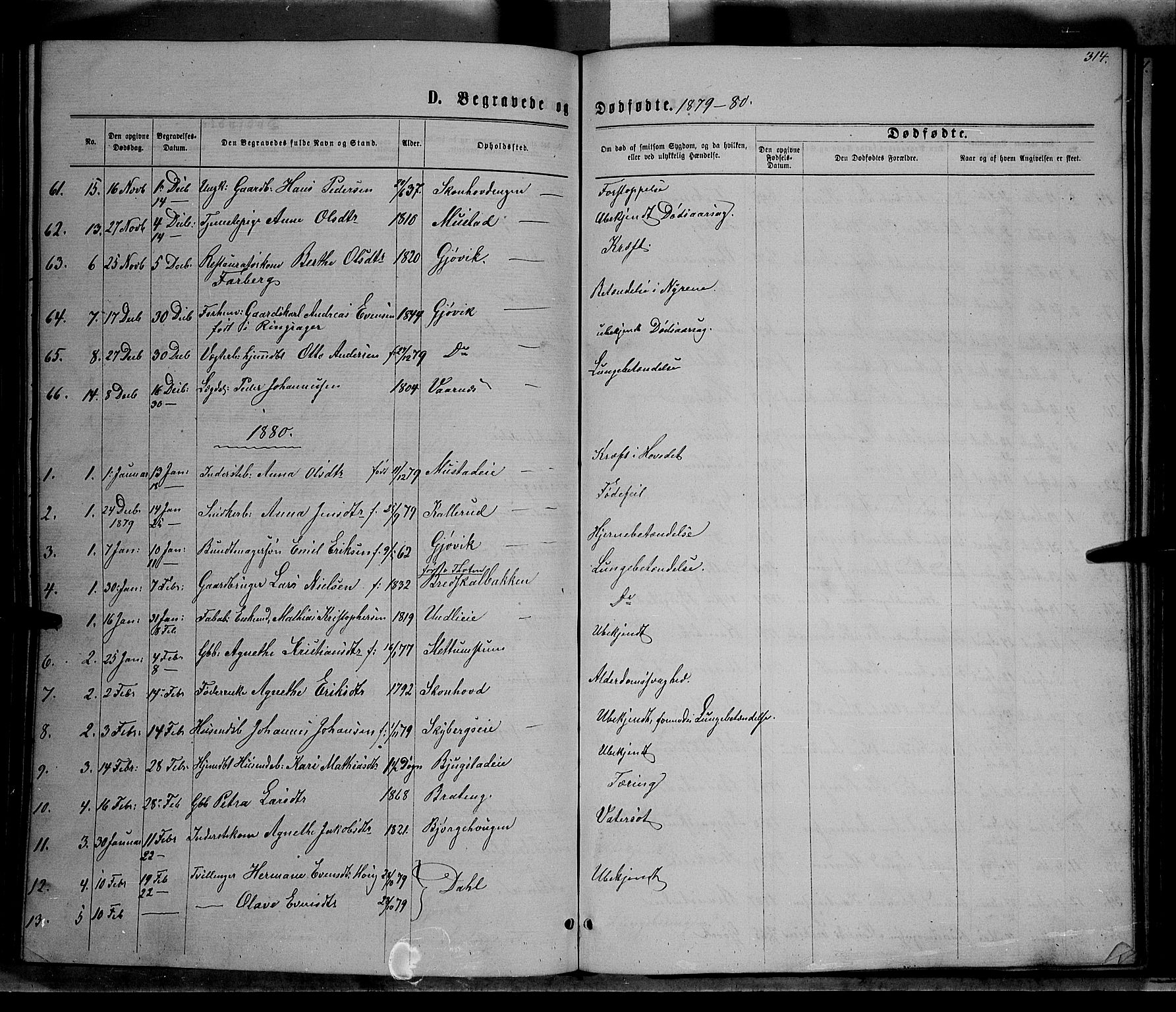 Vardal prestekontor, SAH/PREST-100/H/Ha/Hab/L0006: Parish register (copy) no. 6, 1869-1881, p. 314