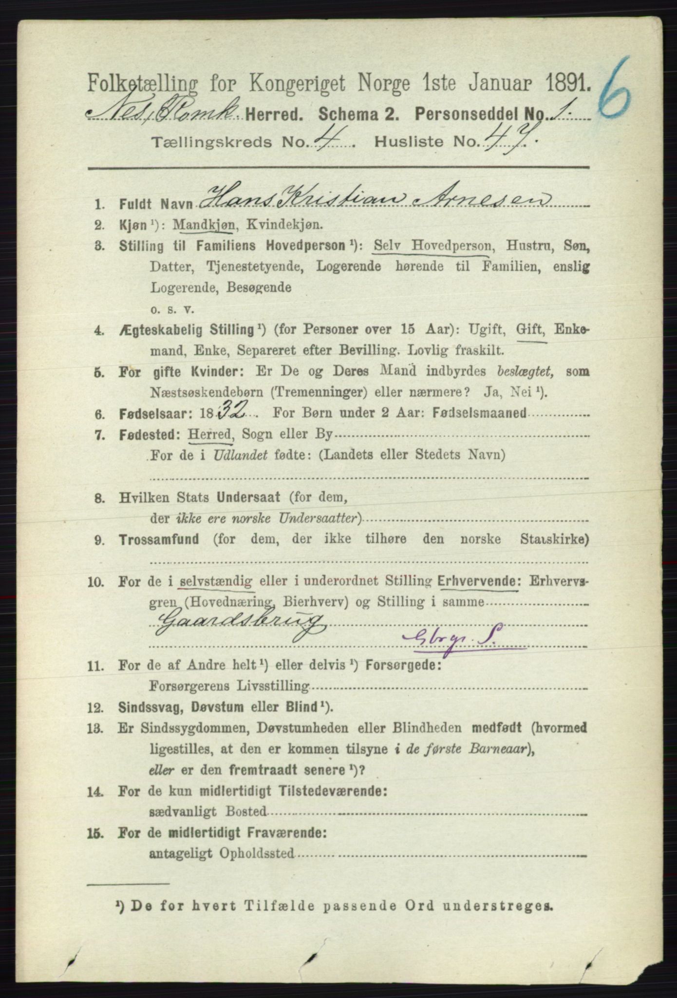 RA, 1891 census for 0236 Nes, 1891, p. 2524