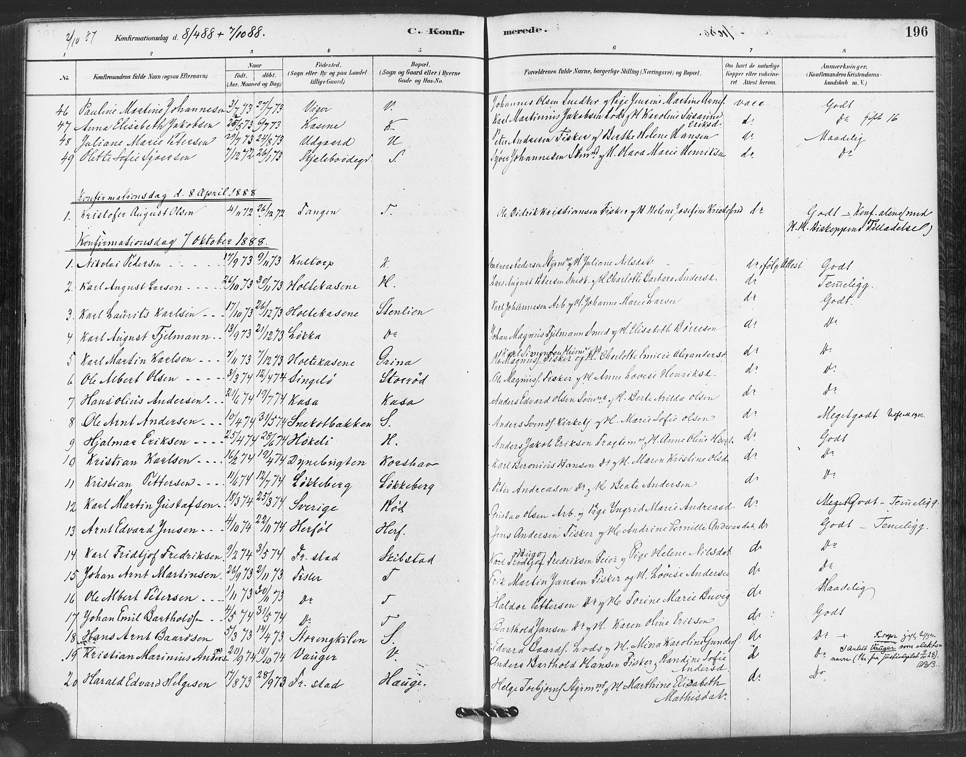 Hvaler prestekontor Kirkebøker, AV/SAO-A-2001/F/Fa/L0008: Parish register (official) no. I 8, 1878-1895, p. 196