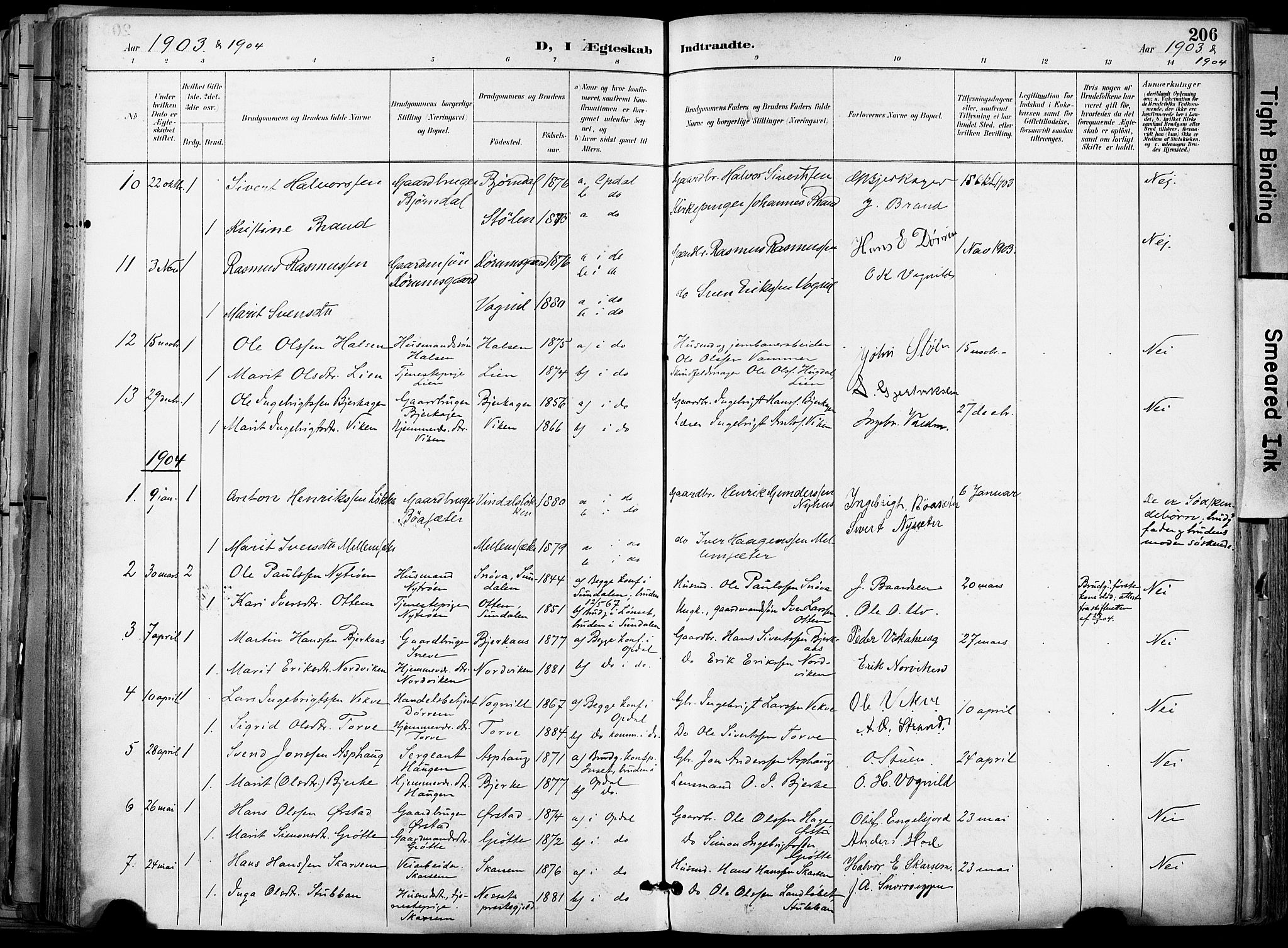 Ministerialprotokoller, klokkerbøker og fødselsregistre - Sør-Trøndelag, SAT/A-1456/678/L0902: Parish register (official) no. 678A11, 1895-1911, p. 206