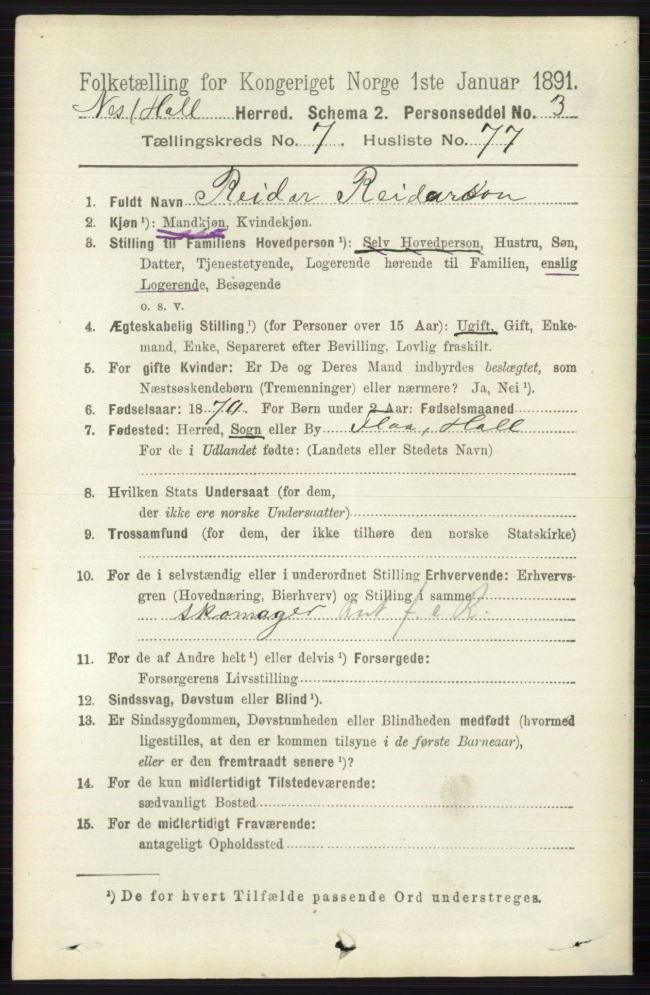 RA, 1891 census for 0616 Nes, 1891, p. 4045