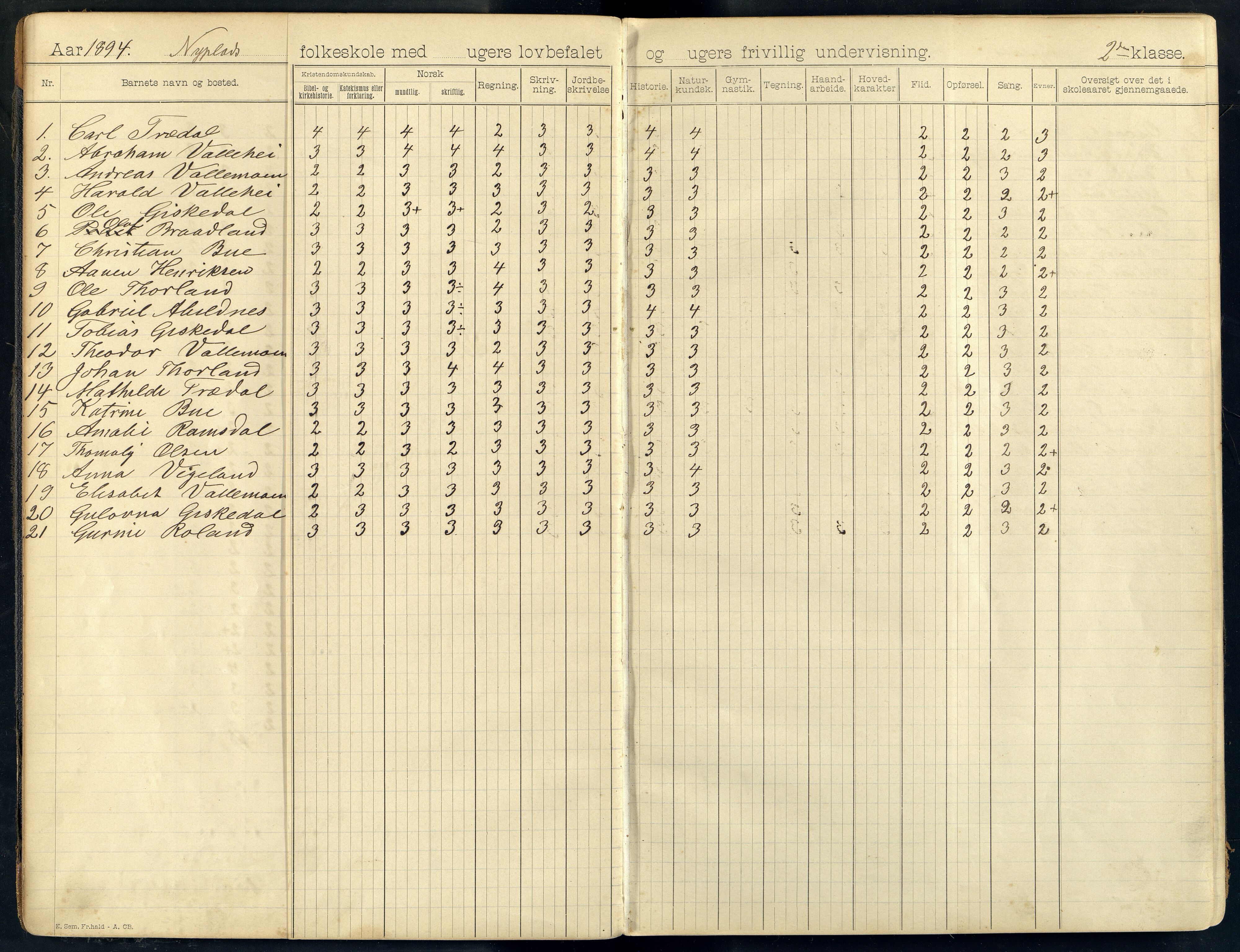 Sør-Audnedal kommune - Nyplass Skole, ARKSOR/1029SØ558/G/L0003: Skoleprotokoll, 1893-1908