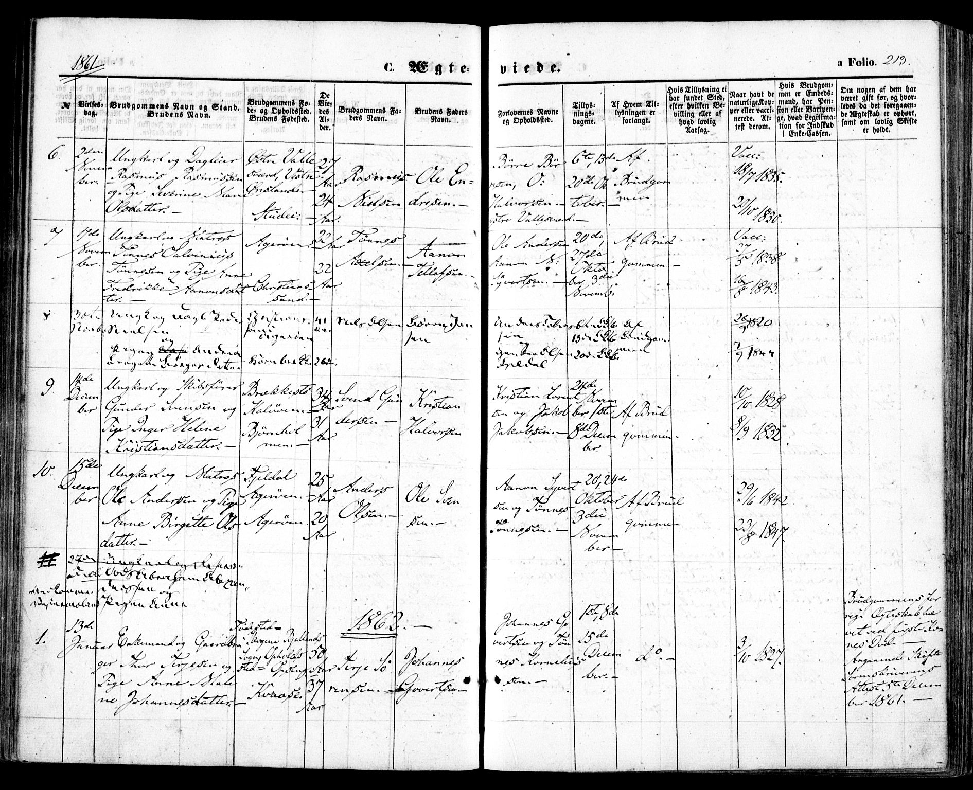 Høvåg sokneprestkontor, SAK/1111-0025/F/Fa/L0004: Parish register (official) no. A 4, 1859-1877, p. 213