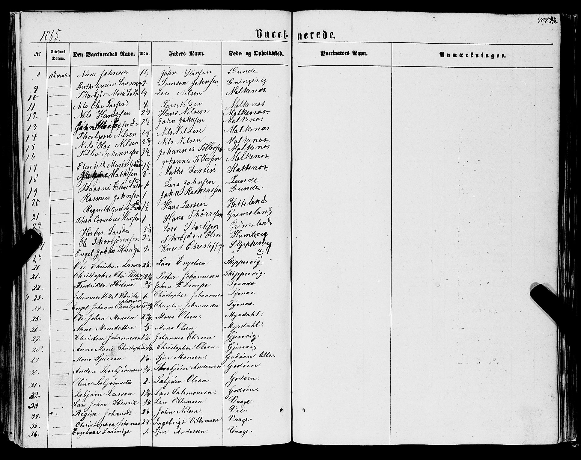 Tysnes sokneprestembete, AV/SAB-A-78601/H/Haa: Parish register (official) no. A 11, 1860-1871, p. 404