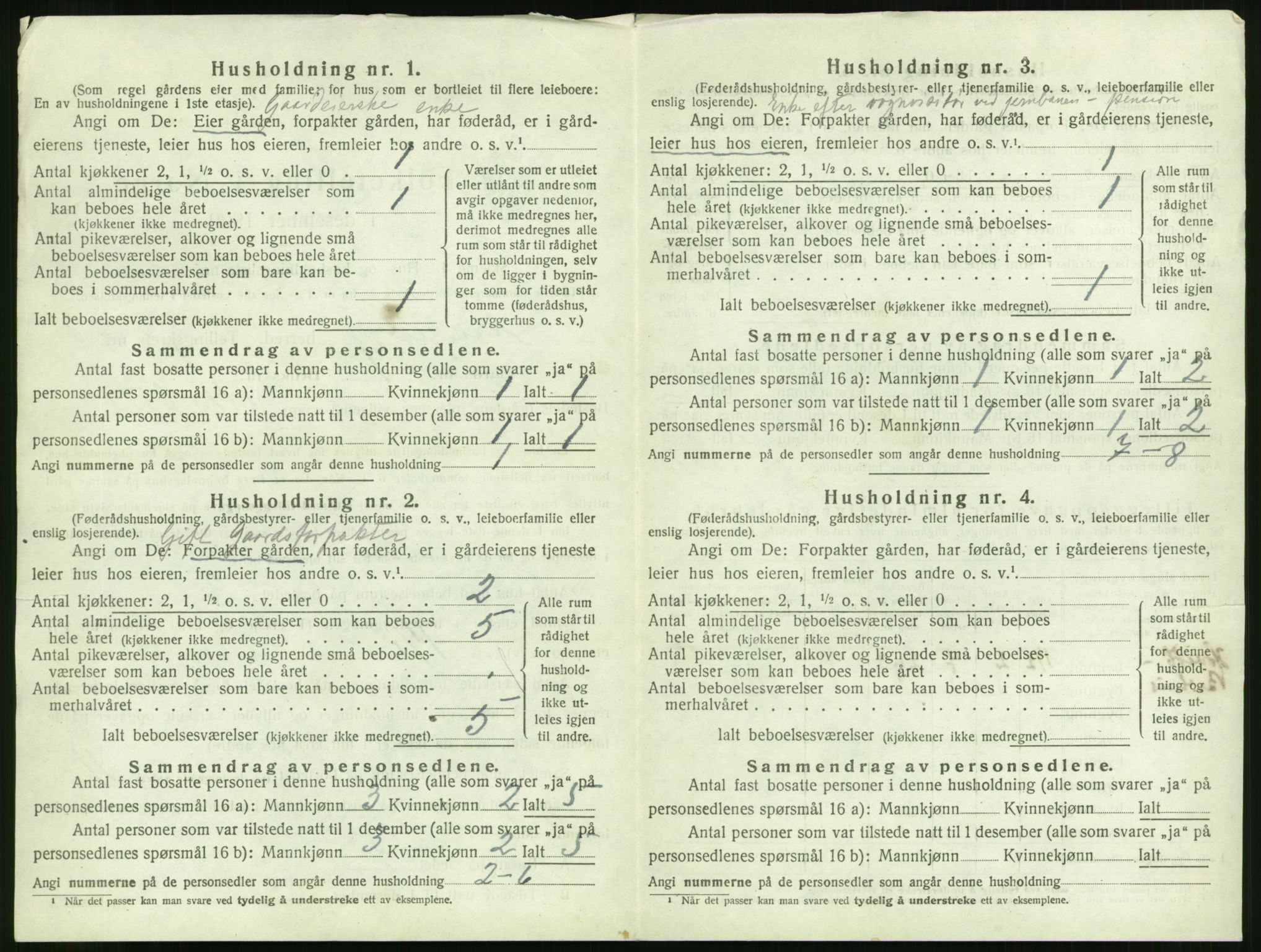 SAO, 1920 census for Kråkerøy, 1920, p. 1019