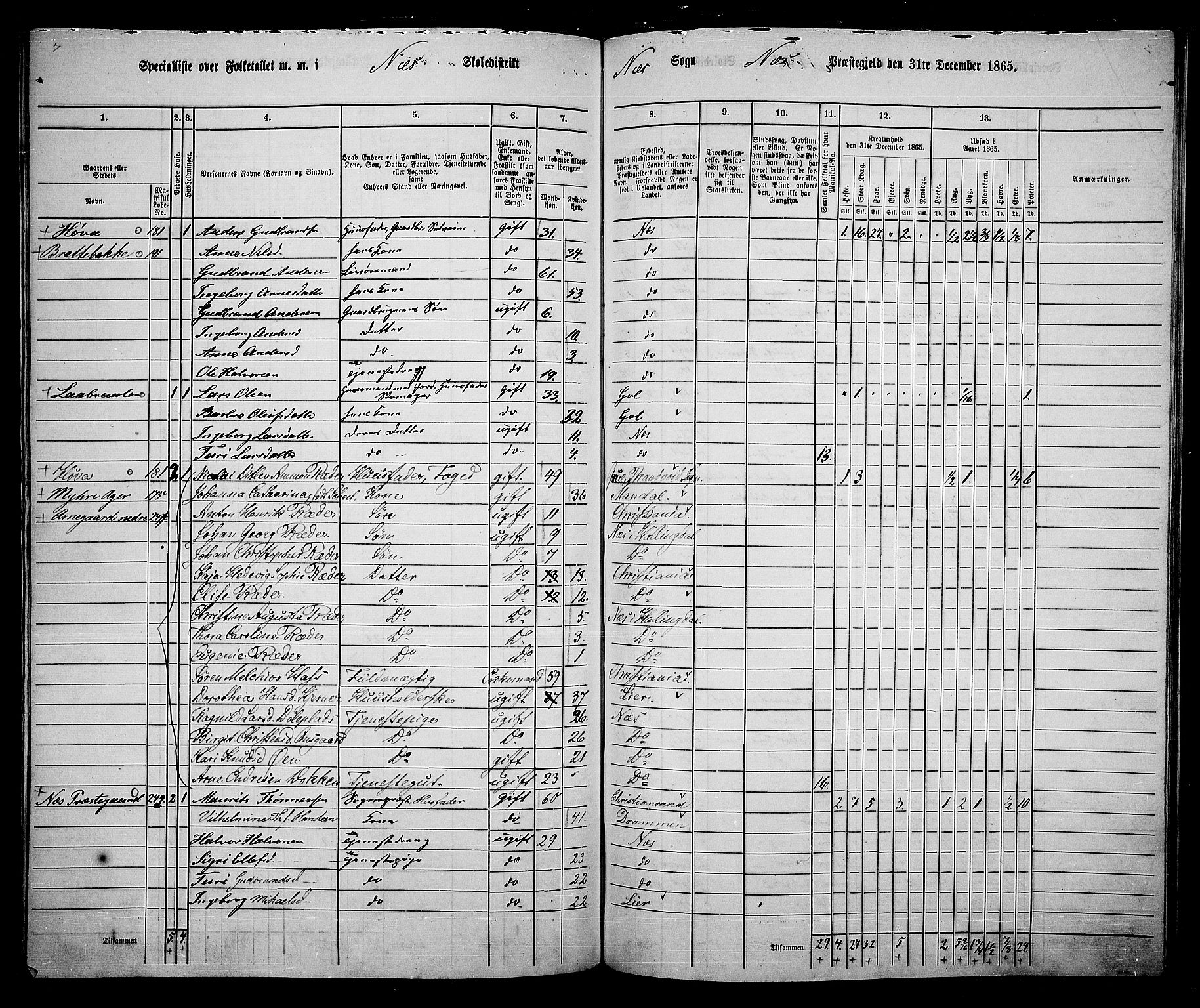 RA, 1865 census for Nes, 1865, p. 168