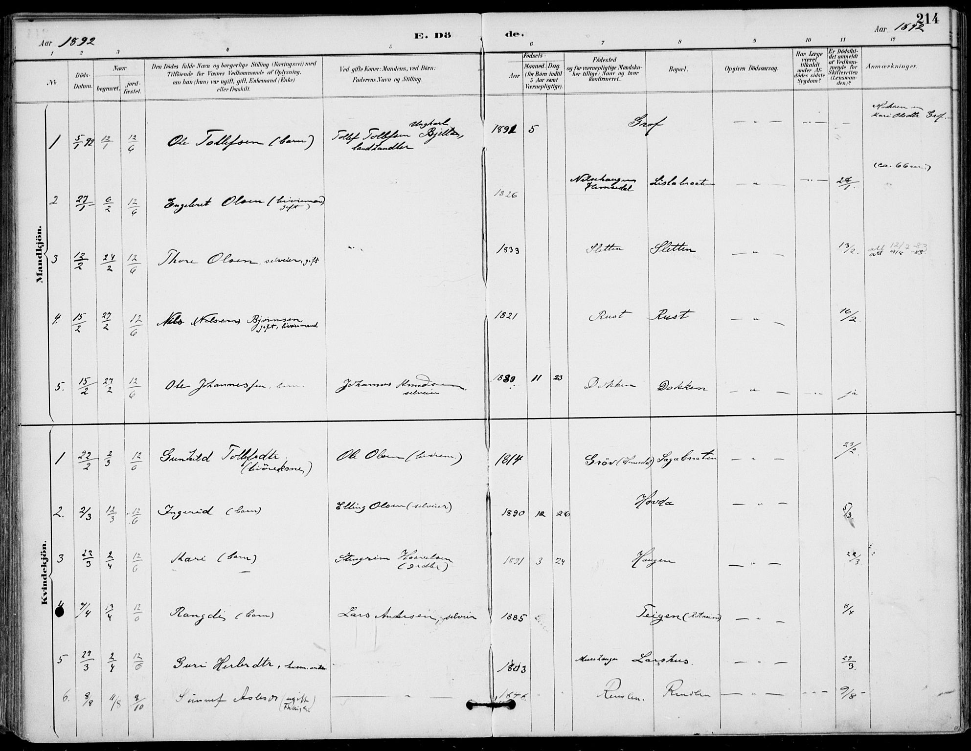 Gol kirkebøker, SAKO/A-226/F/Fa/L0005: Parish register (official) no. I 5, 1887-1900, p. 214
