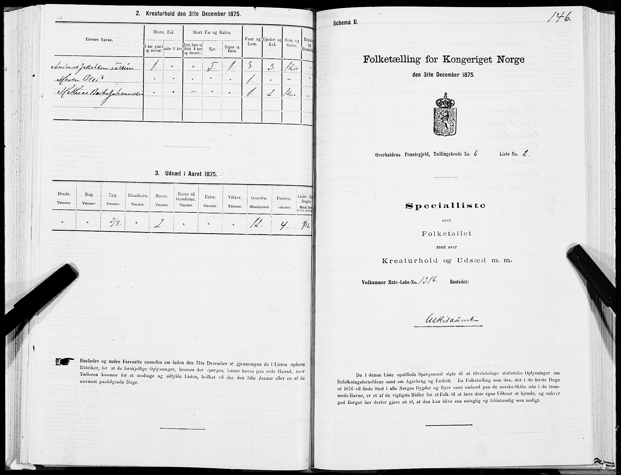 SAT, 1875 census for 1744P Overhalla, 1875, p. 3146